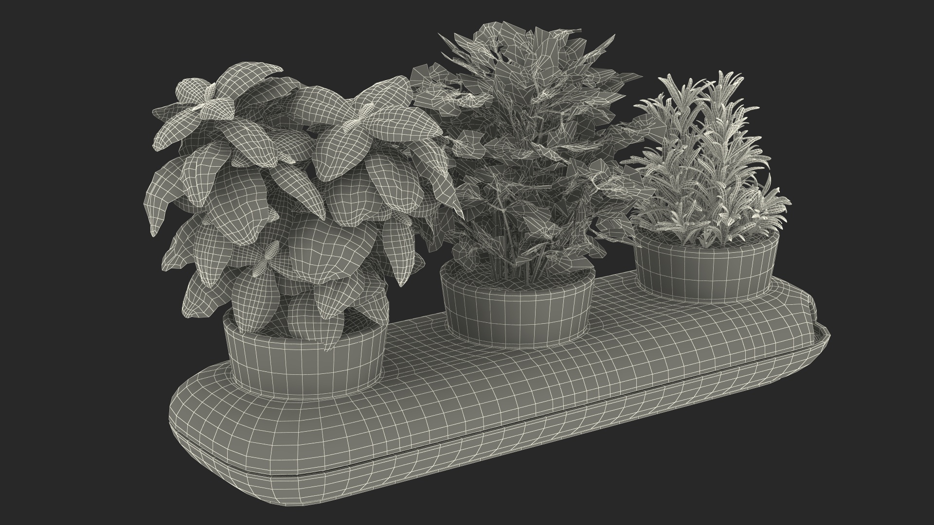 Ceramic Trio Pot with Herbs Sagaform Beige 3D