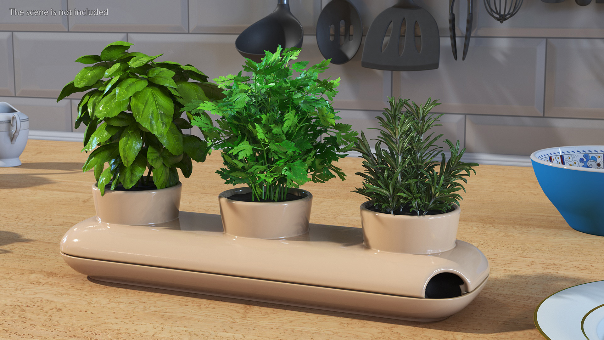 Ceramic Trio Pot with Herbs Sagaform Beige 3D