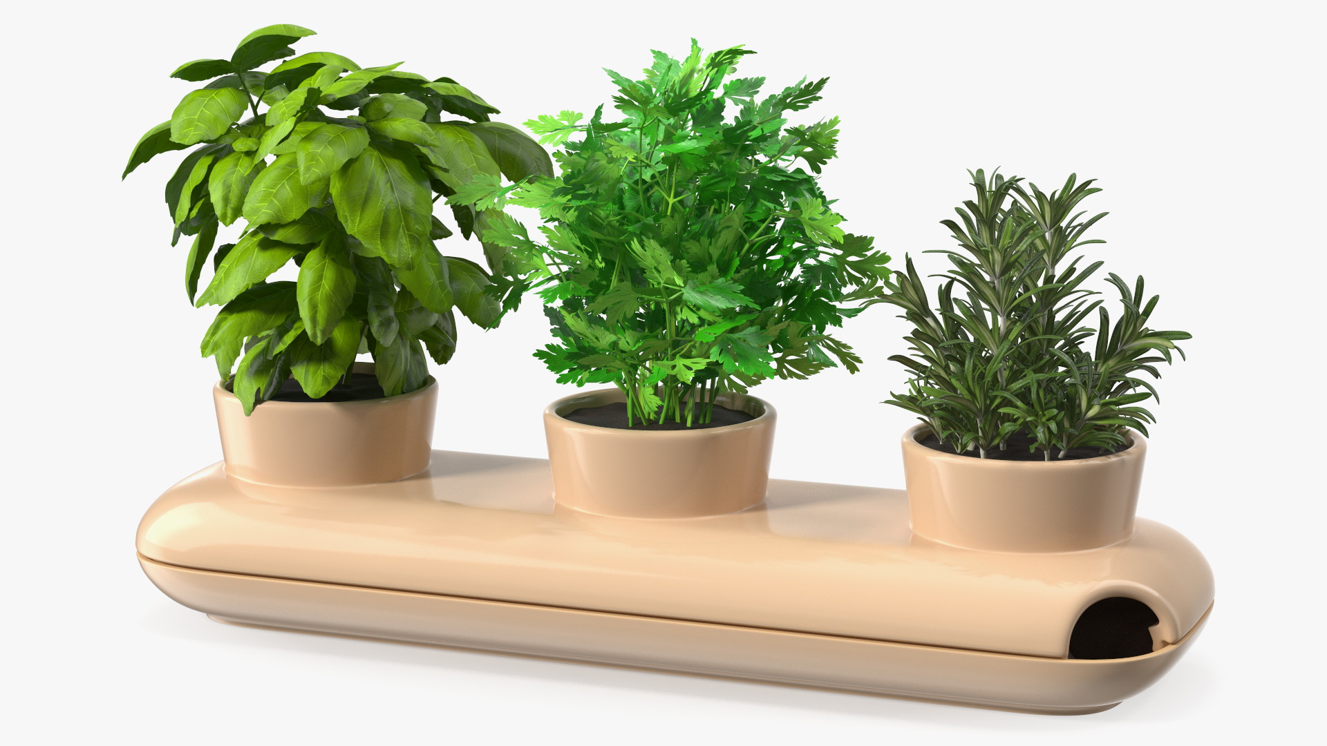 Ceramic Trio Pot with Herbs Sagaform Beige 3D