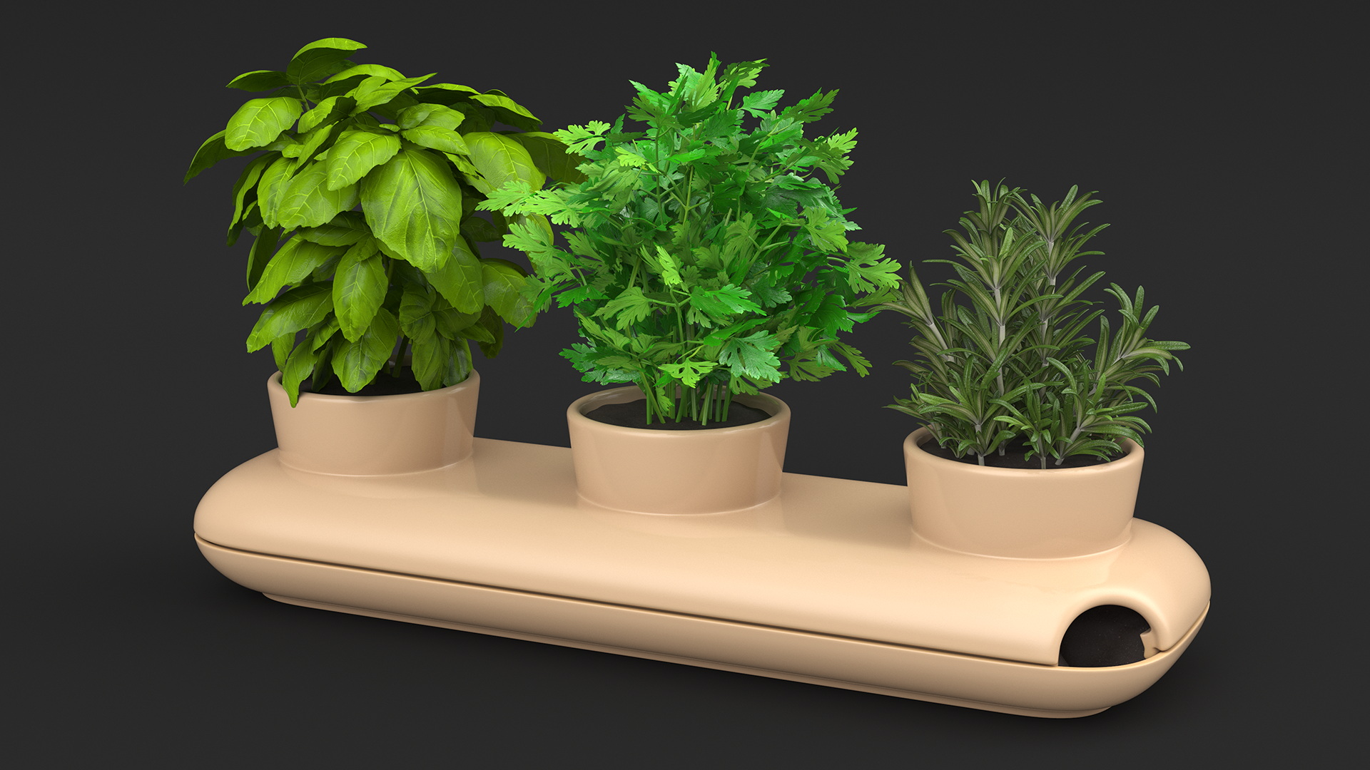 Ceramic Trio Pot with Herbs Sagaform Beige 3D