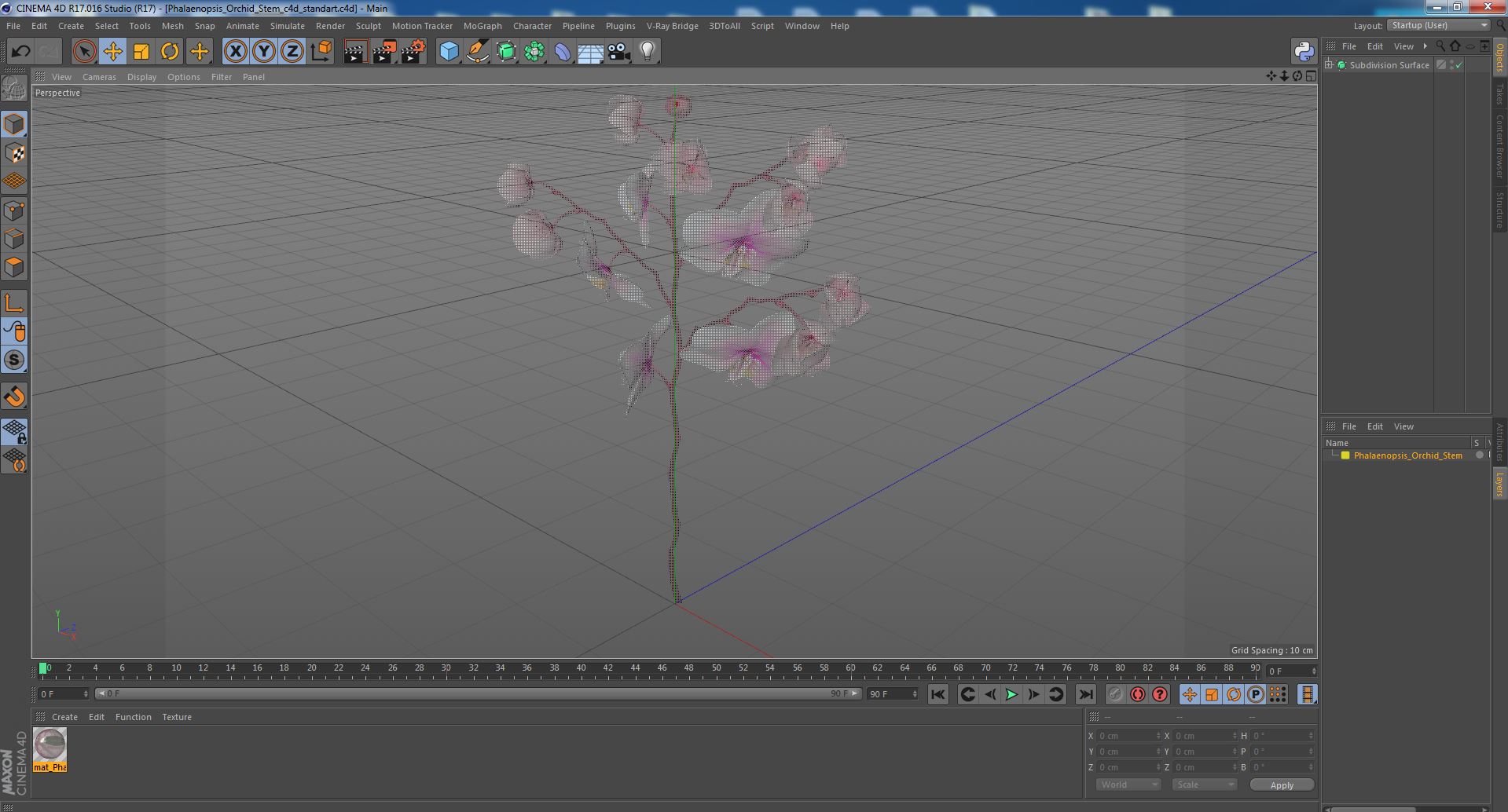 Phalaenopsis Orchid Stem 3D model