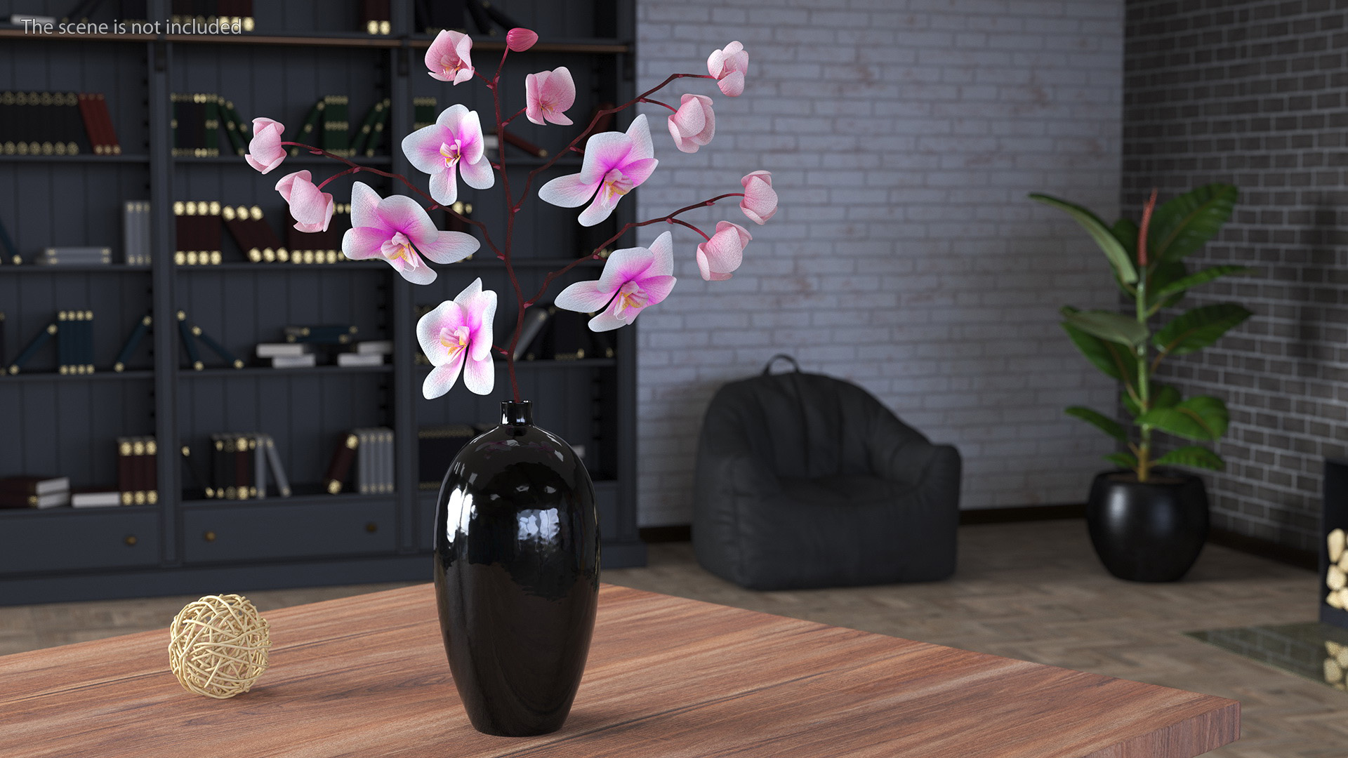Phalaenopsis Orchid Stem 3D model