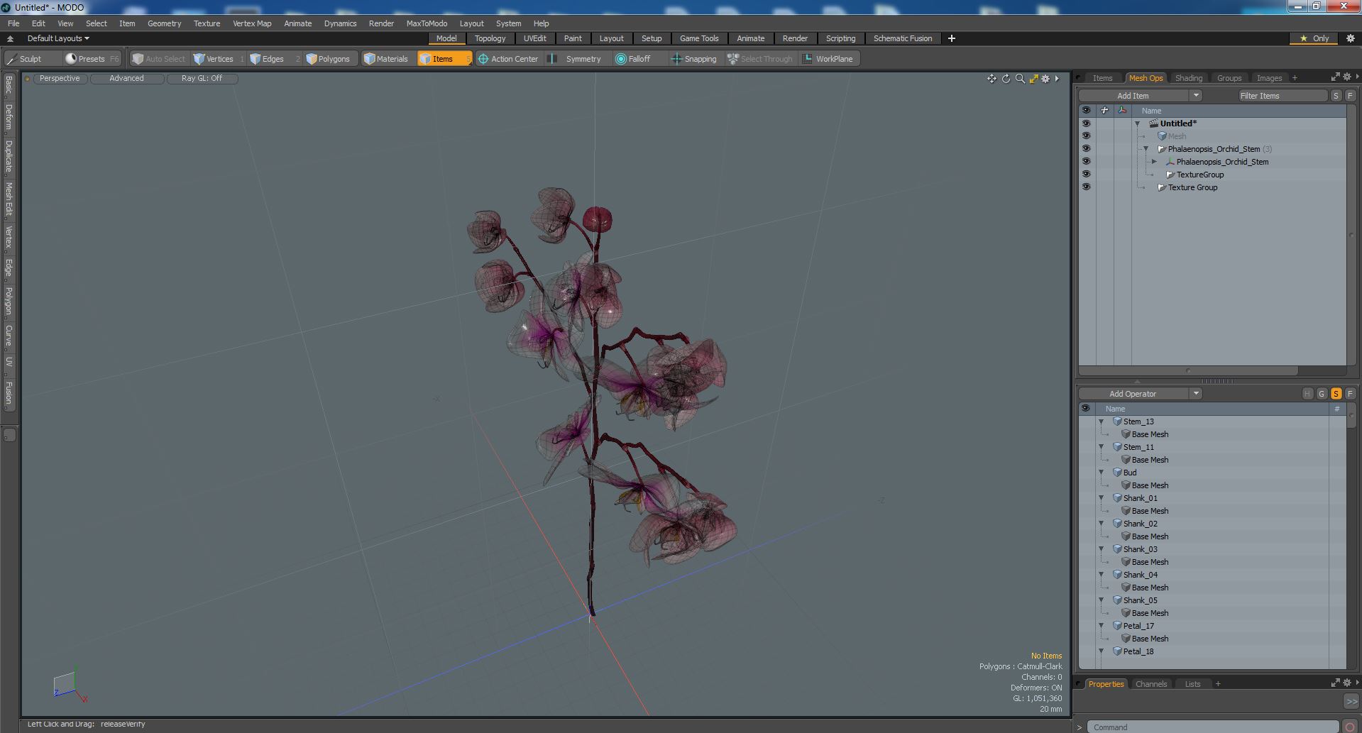 Phalaenopsis Orchid Stem 3D model