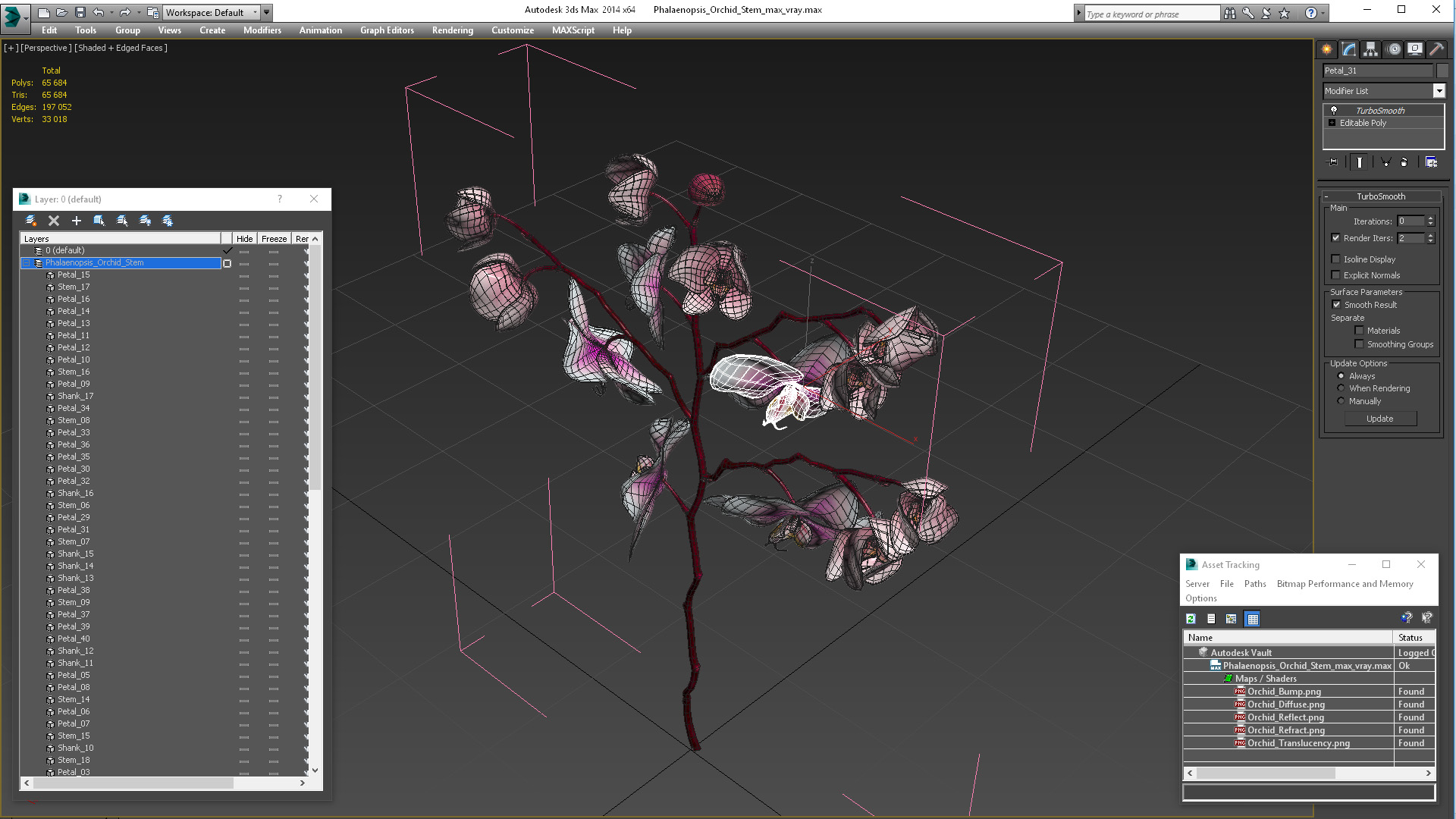 Phalaenopsis Orchid Stem 3D model