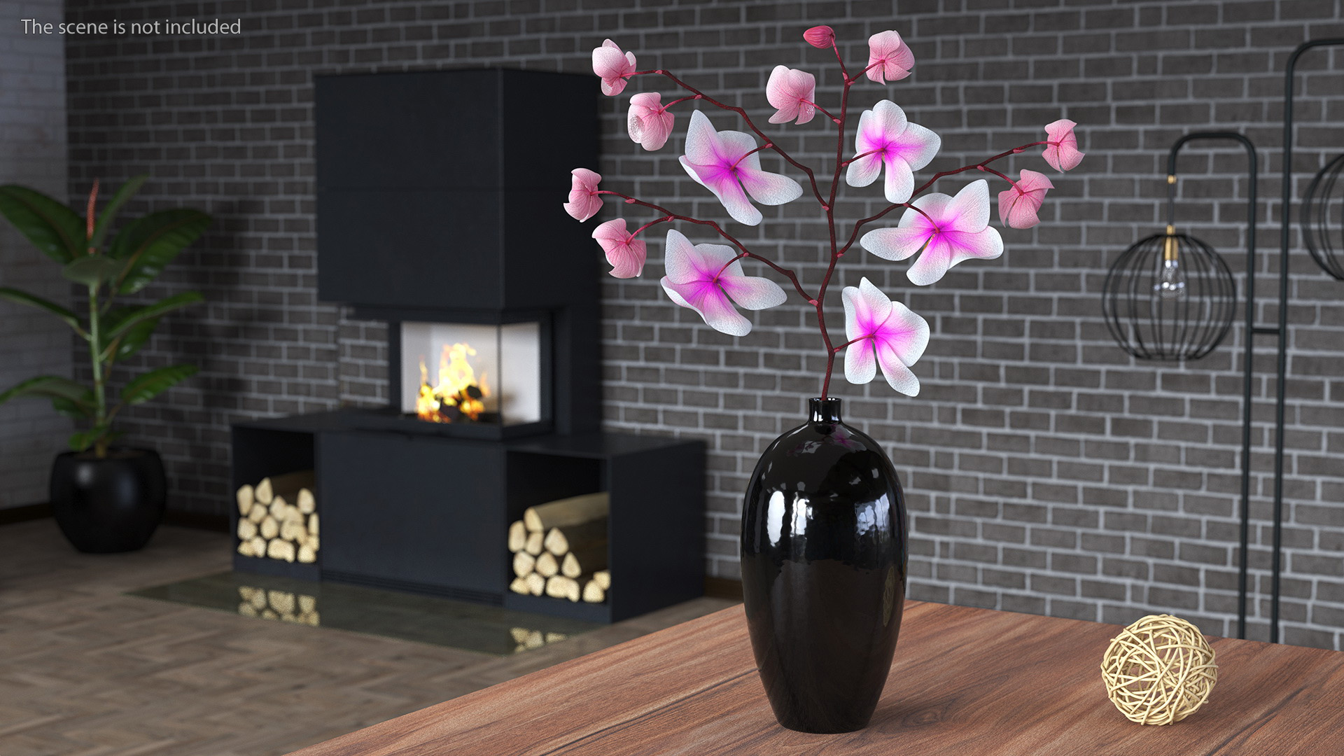 Phalaenopsis Orchid Stem 3D model