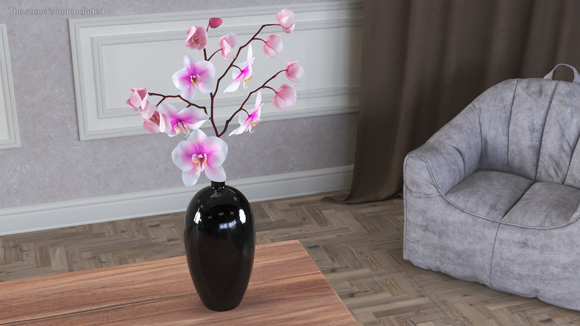 Phalaenopsis Orchid Stem 3D model