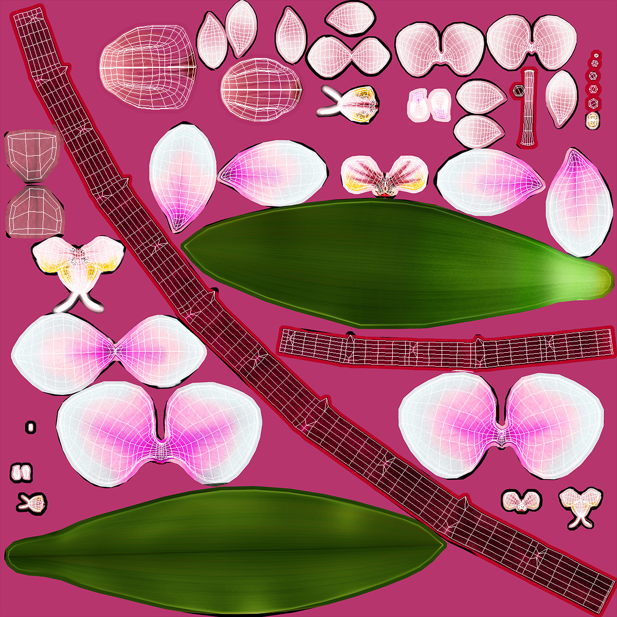 Phalaenopsis Orchid Stem 3D model