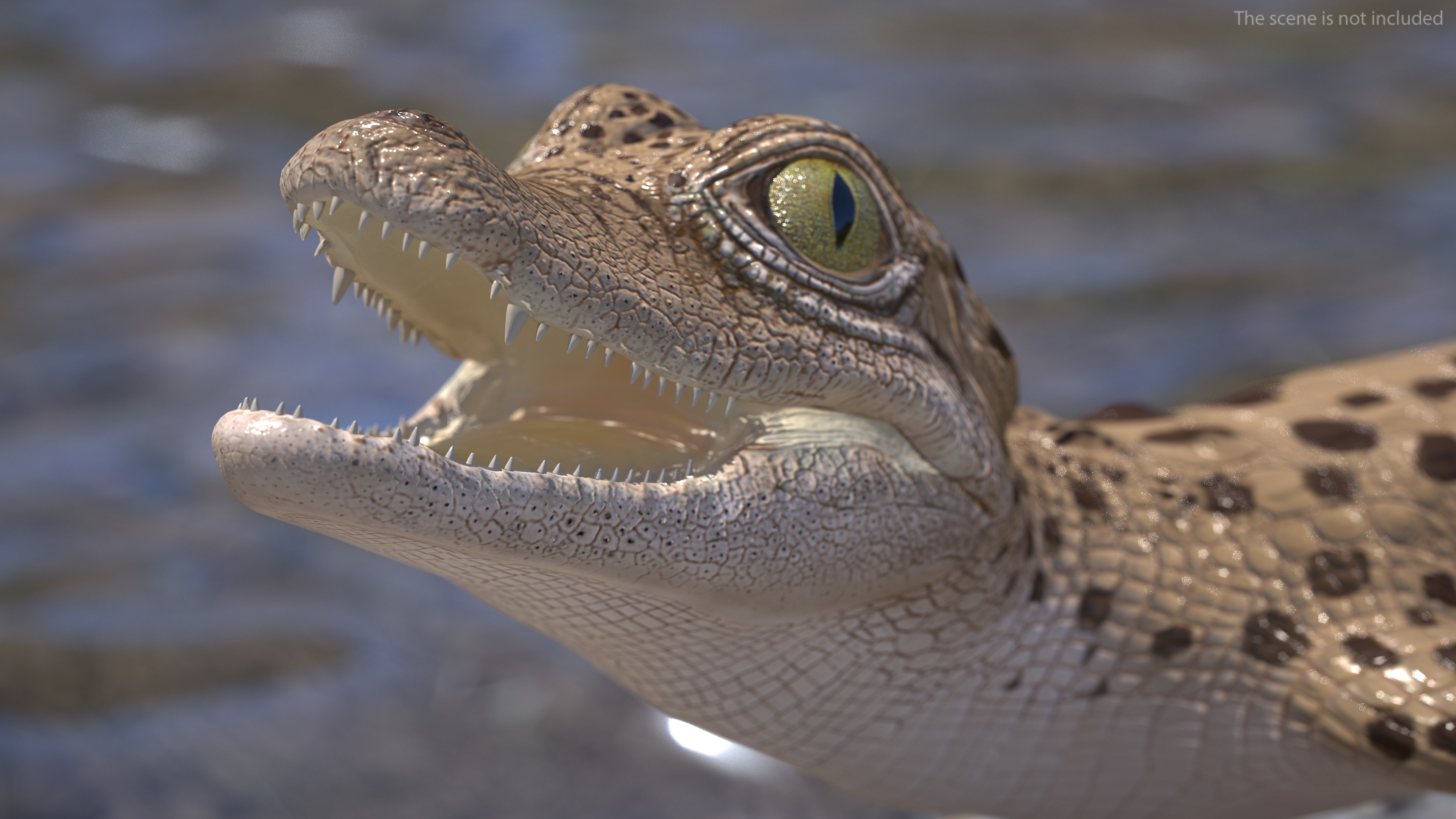 3D Baby Crocodile Light Color Pose