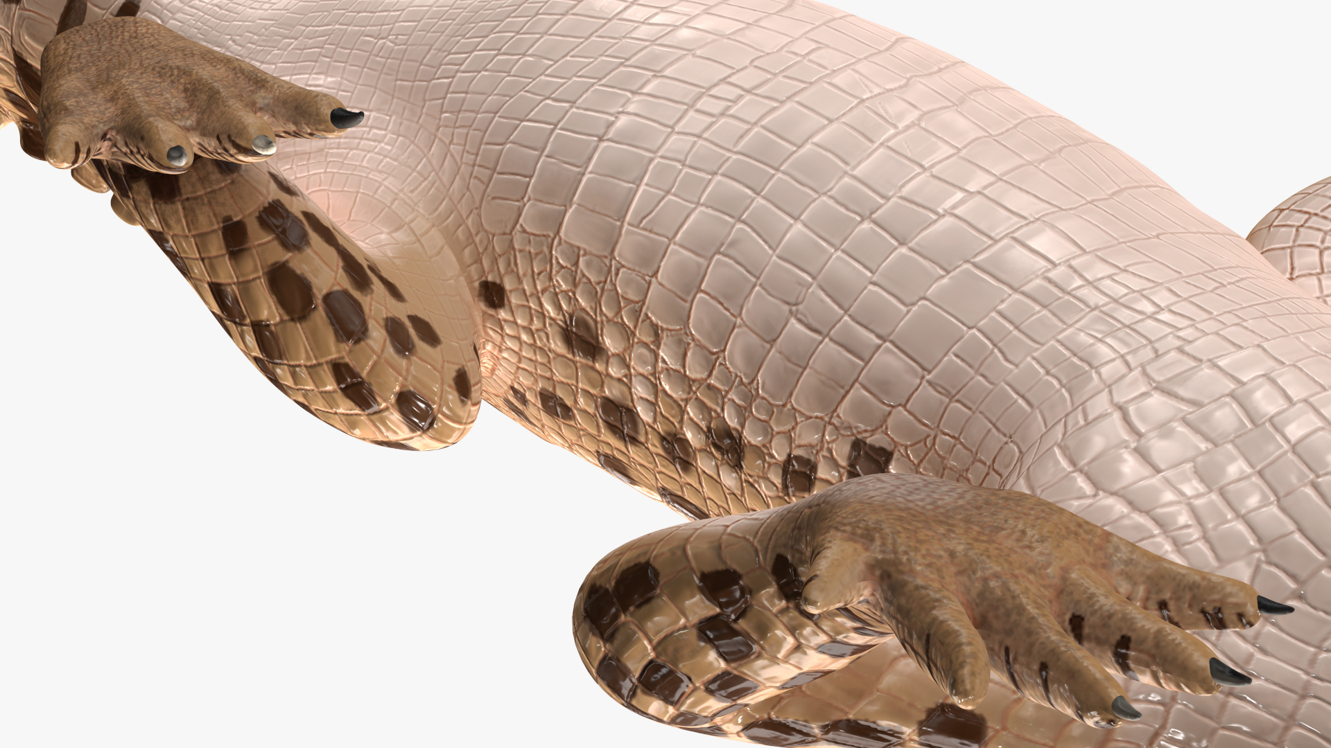 3D Baby Crocodile Light Color Pose