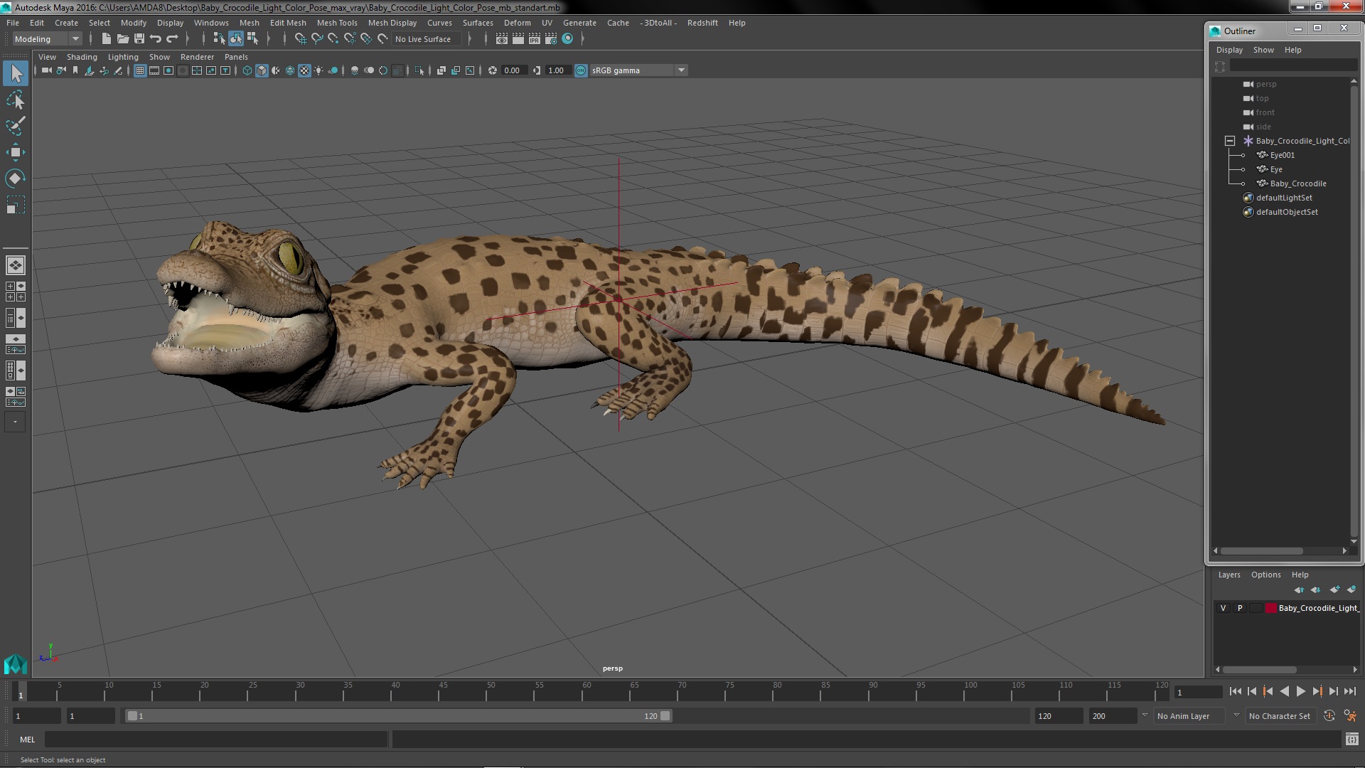 3D Baby Crocodile Light Color Pose