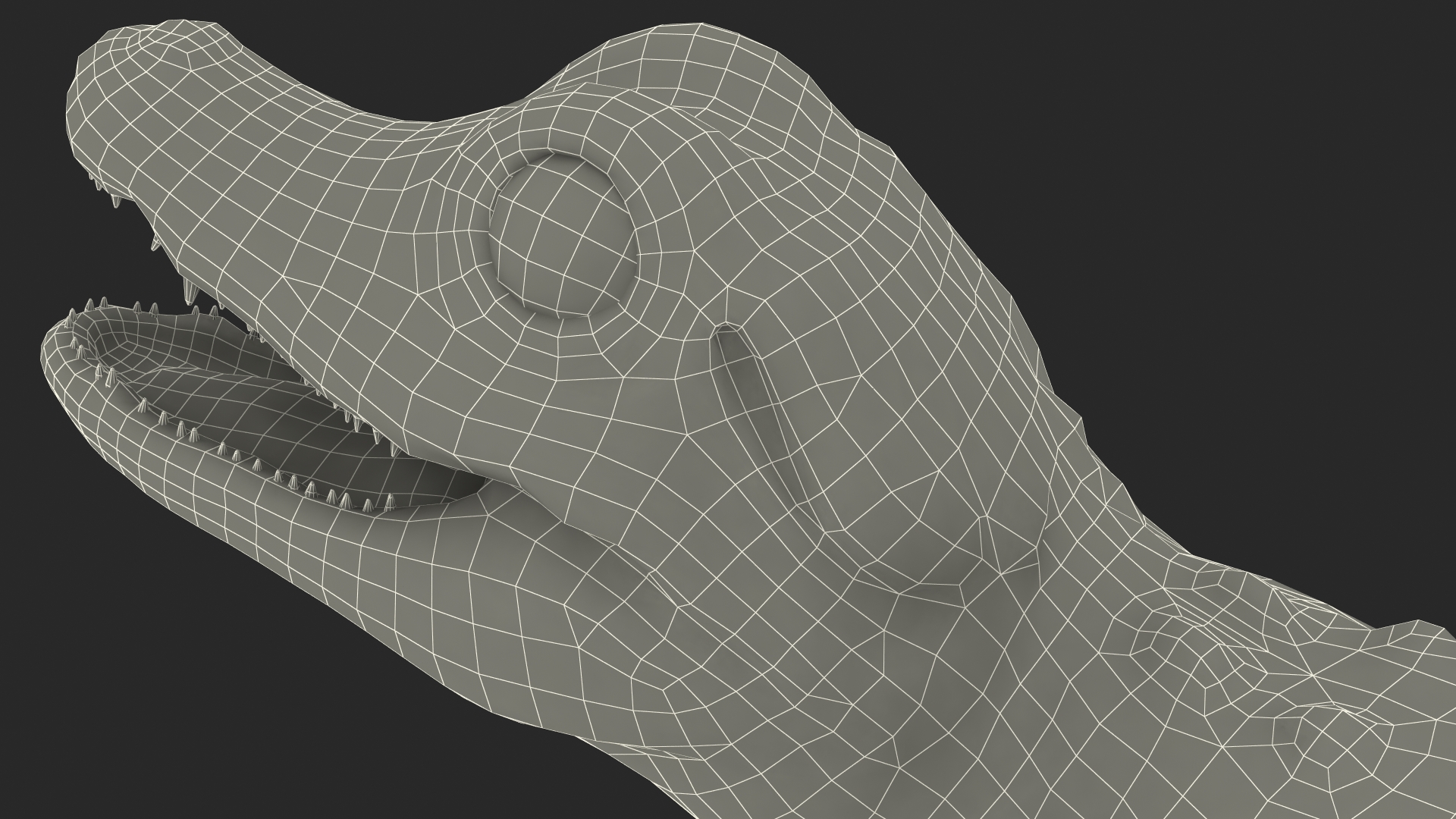 3D Baby Crocodile Light Color Pose