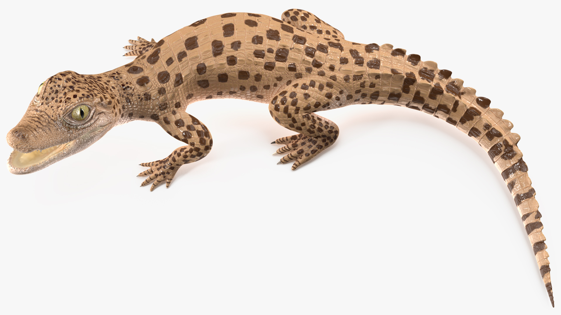 3D Baby Crocodile Light Color Pose