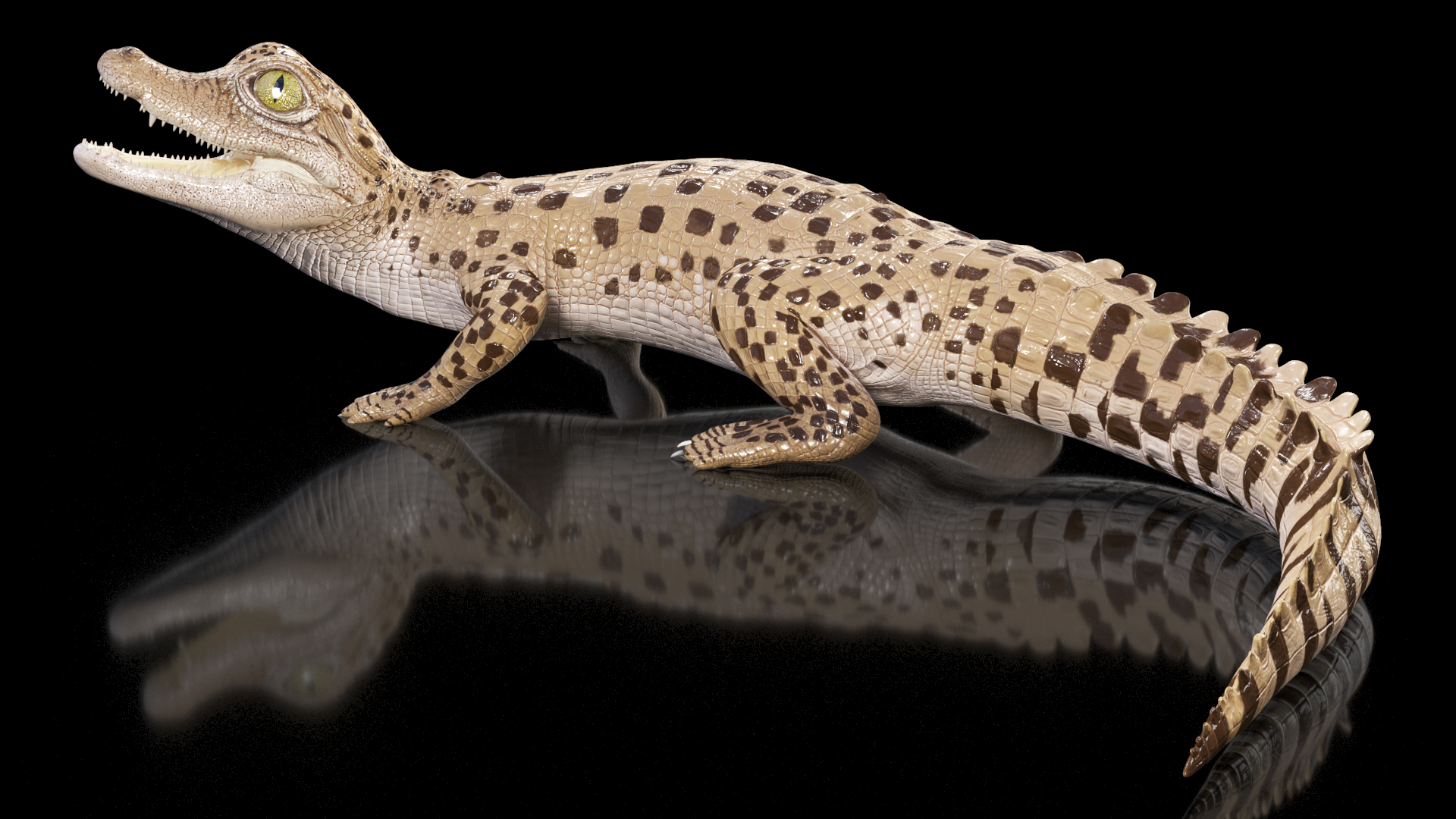 3D Baby Crocodile Light Color Pose