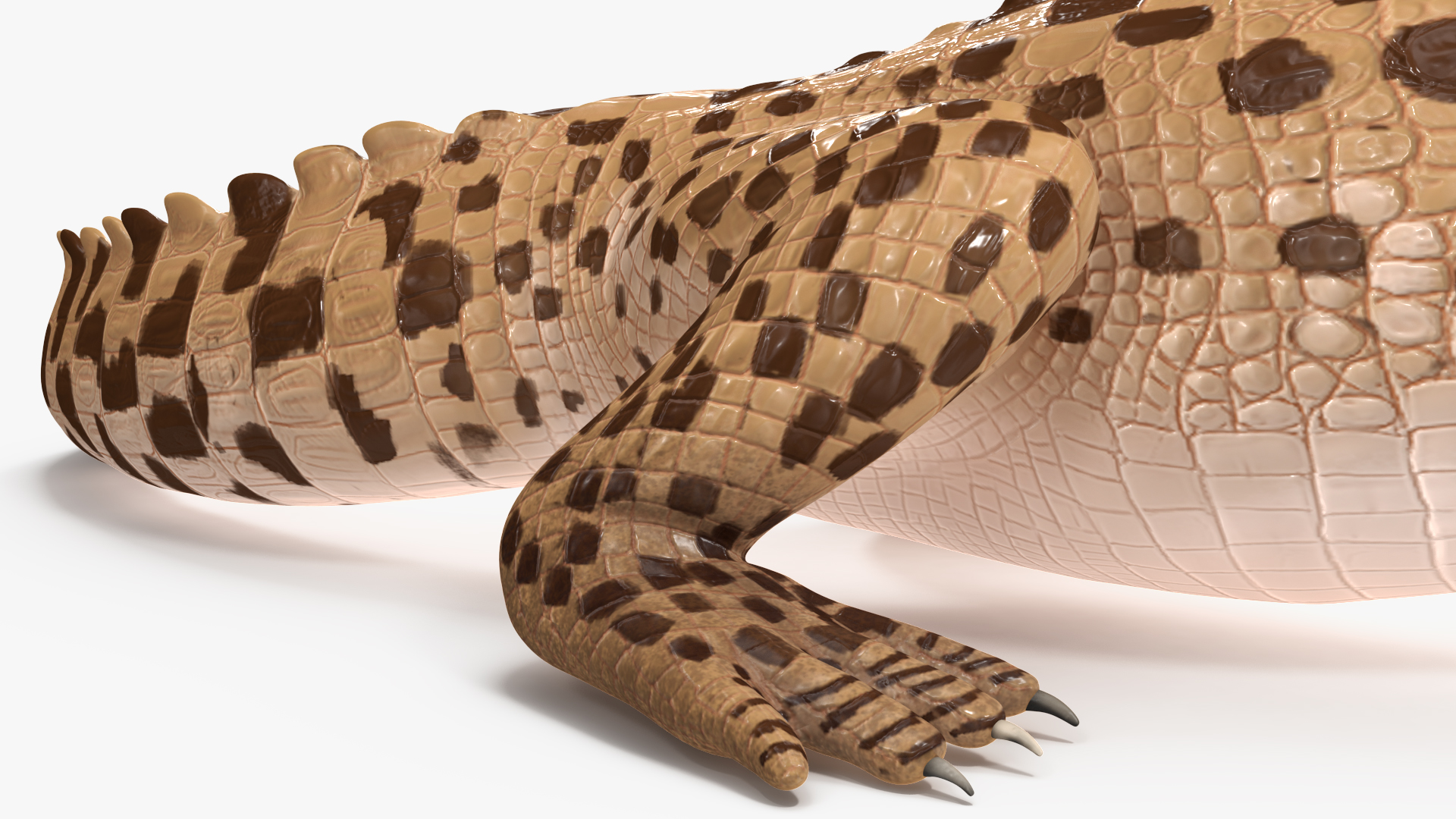 3D Baby Crocodile Light Color Pose