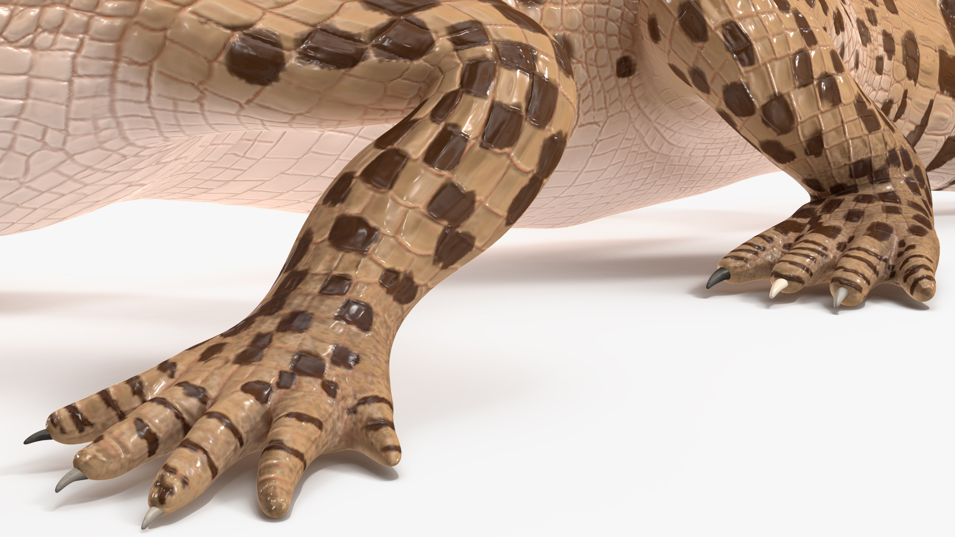 3D Baby Crocodile Light Color Pose