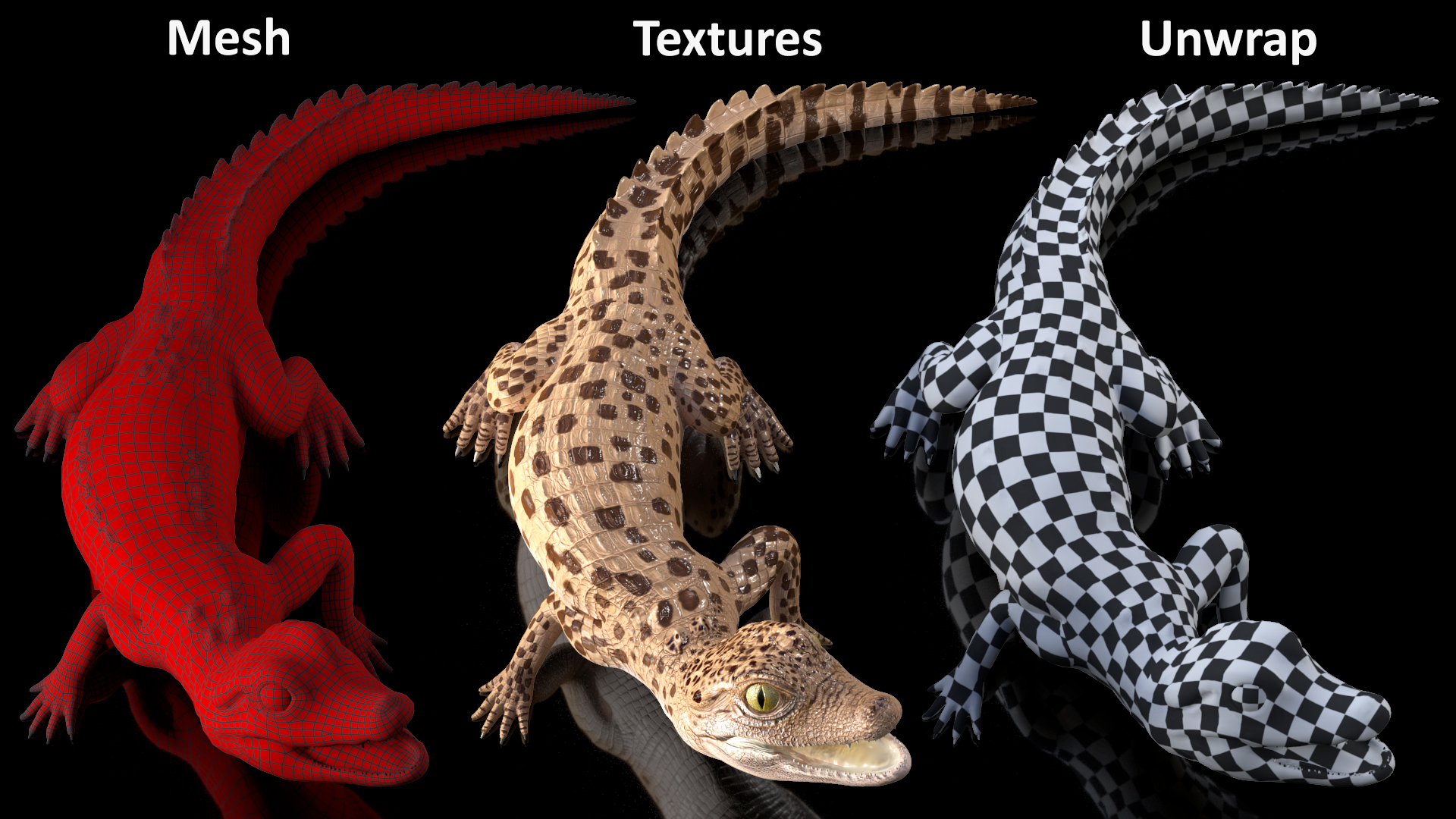 3D Baby Crocodile Light Color Pose