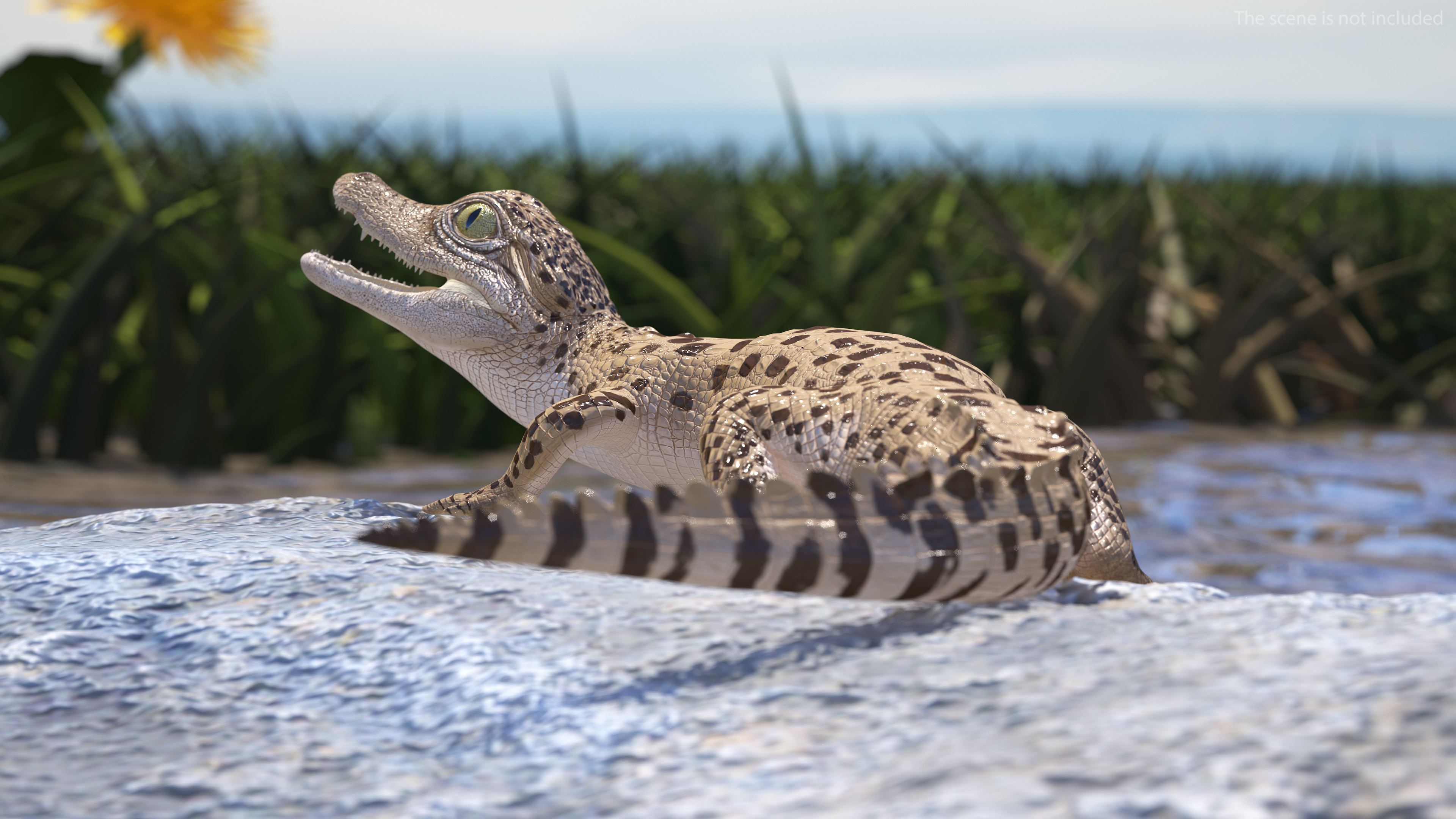 3D Baby Crocodile Light Color Pose