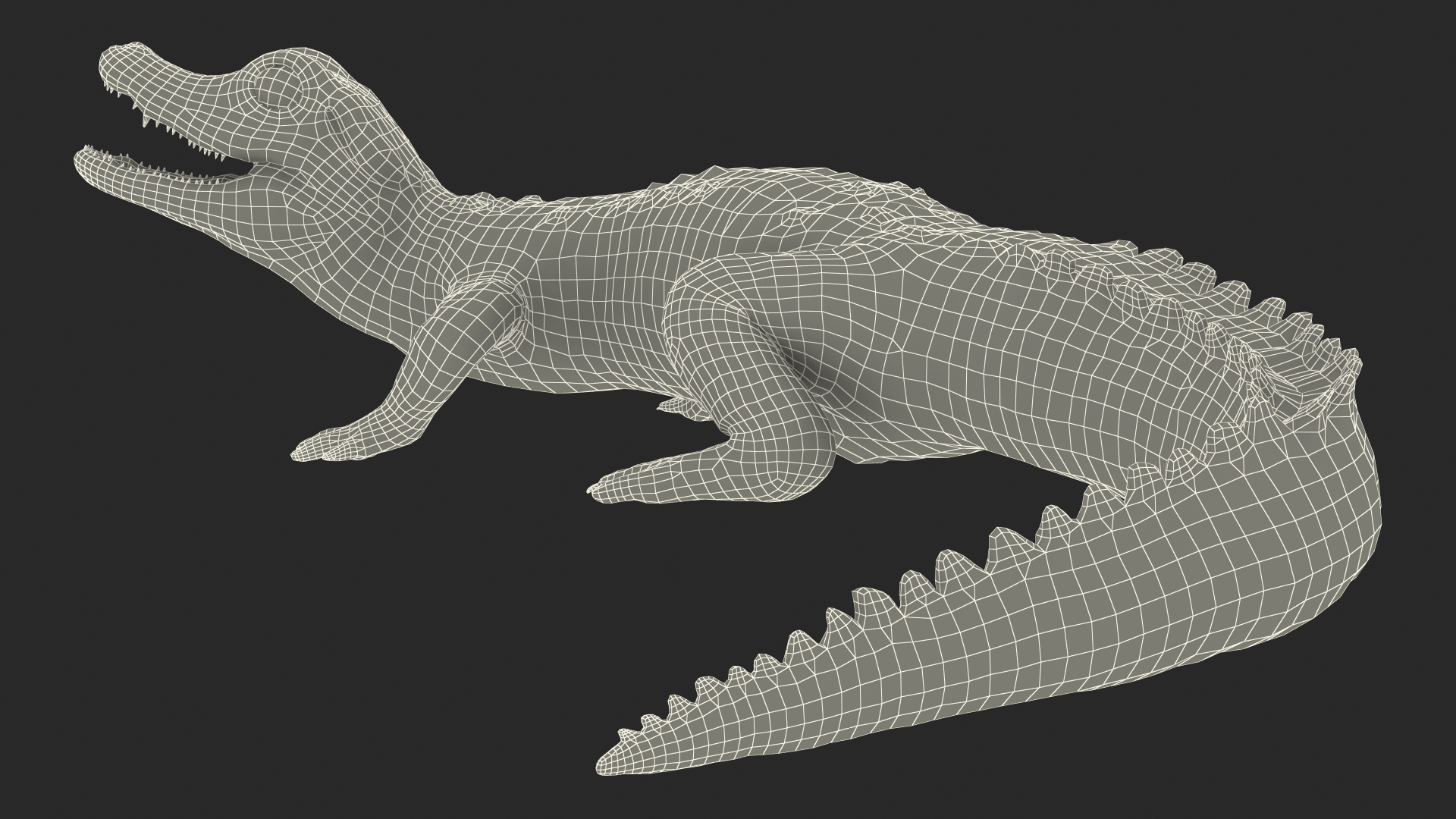 3D Baby Crocodile Light Color Pose