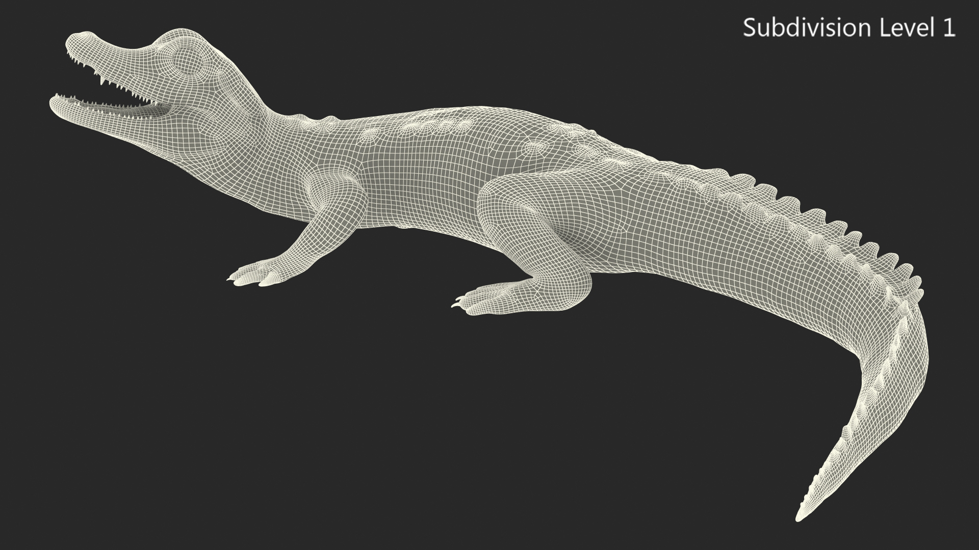3D Baby Crocodile Light Color Pose