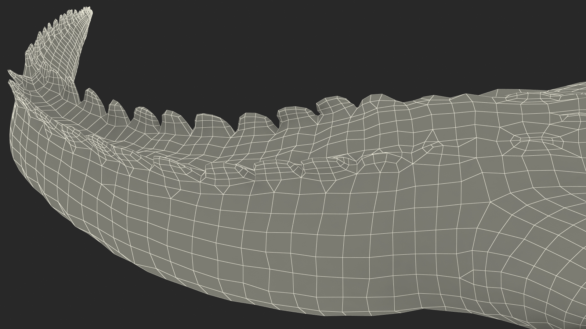 3D Baby Crocodile Light Color Pose