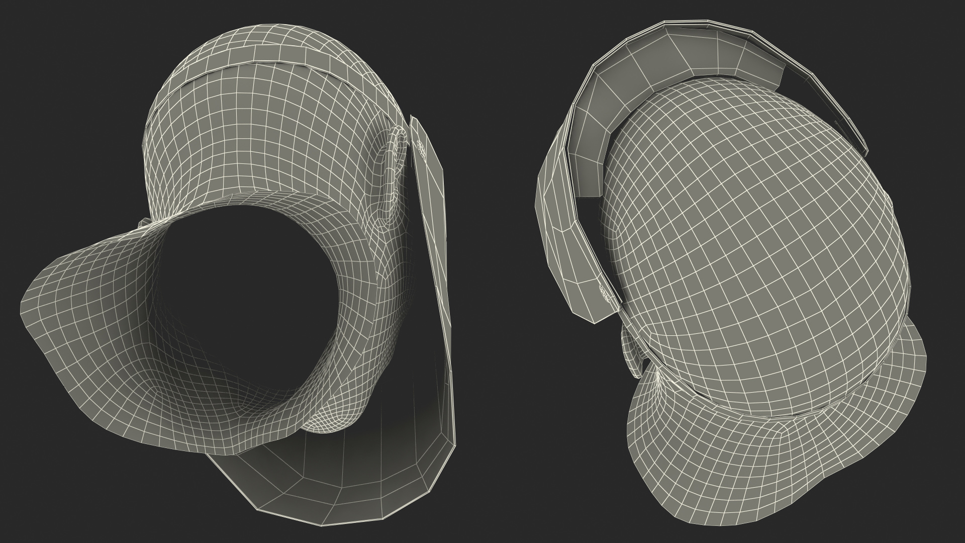 Full Face Shield Visor 3D
