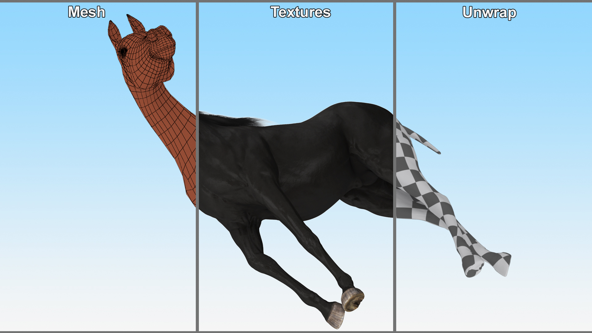 Arabian Horse Black Stand Pose Fur 3D model