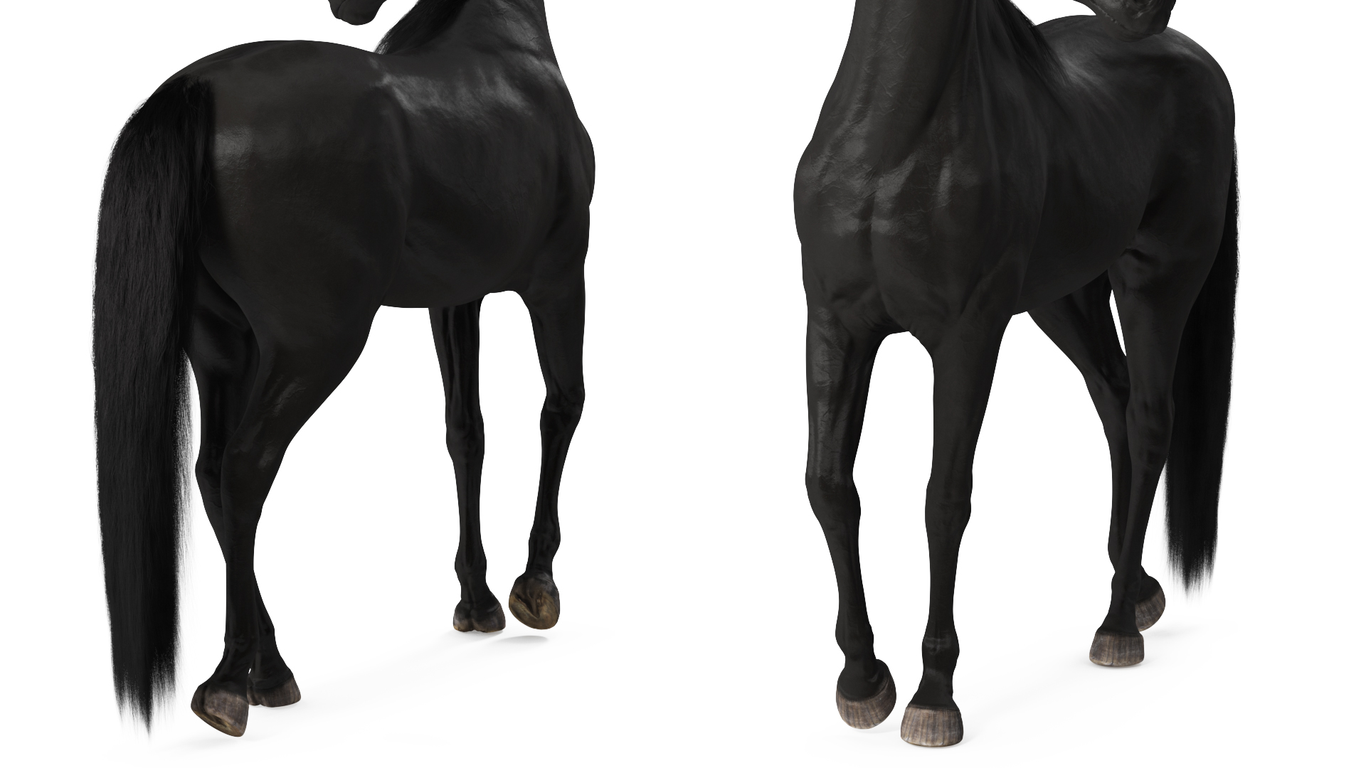 Arabian Horse Black Stand Pose Fur 3D model