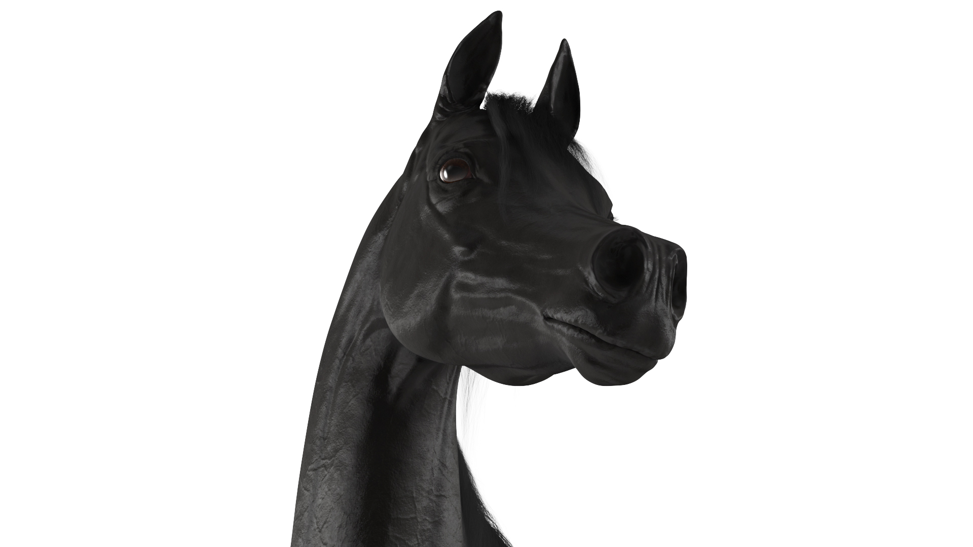 Arabian Horse Black Stand Pose Fur 3D model