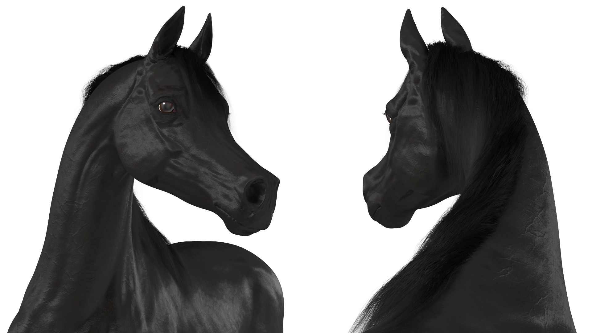 Arabian Horse Black Stand Pose Fur 3D model