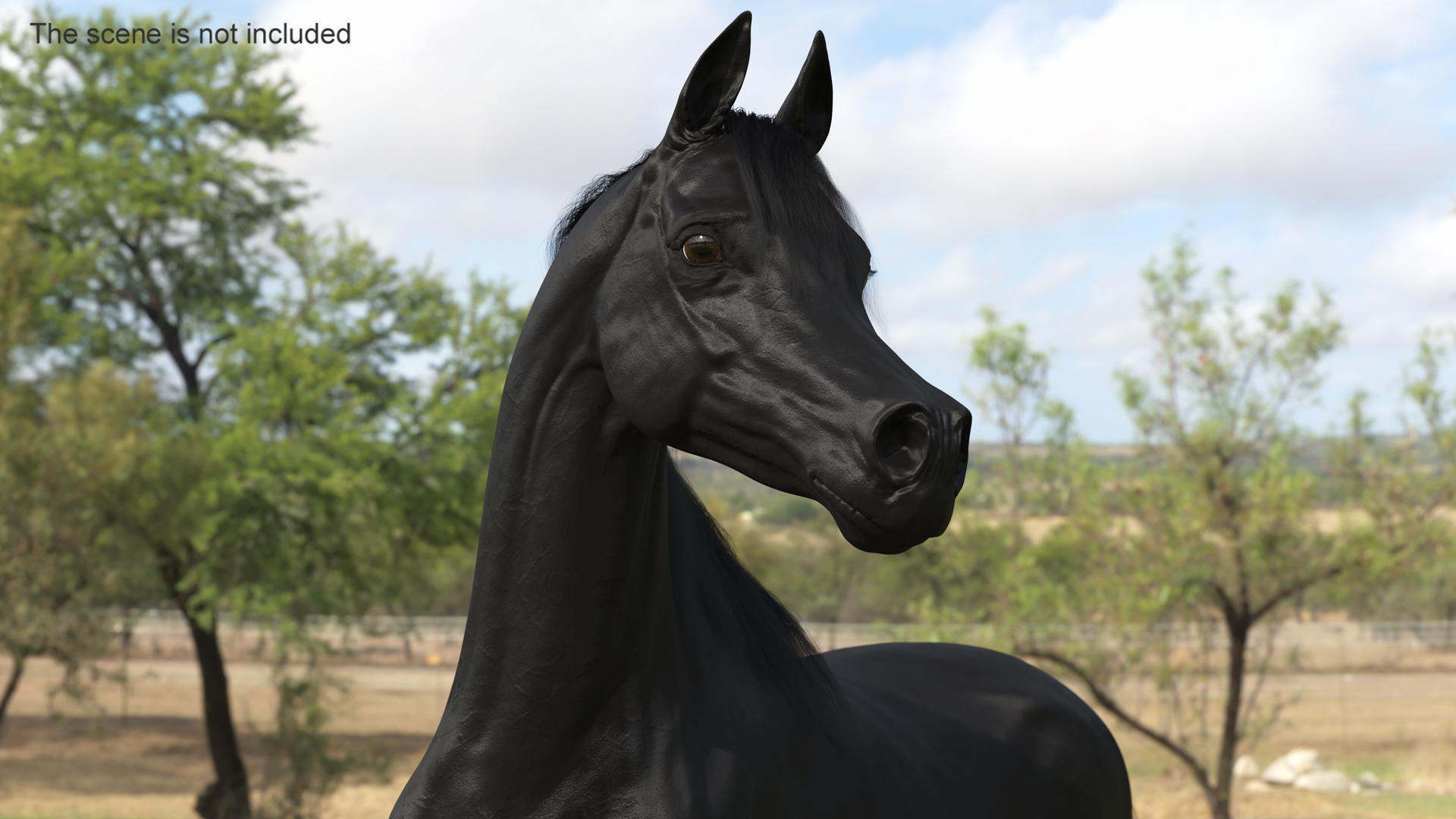 Arabian Horse Black Stand Pose Fur 3D model