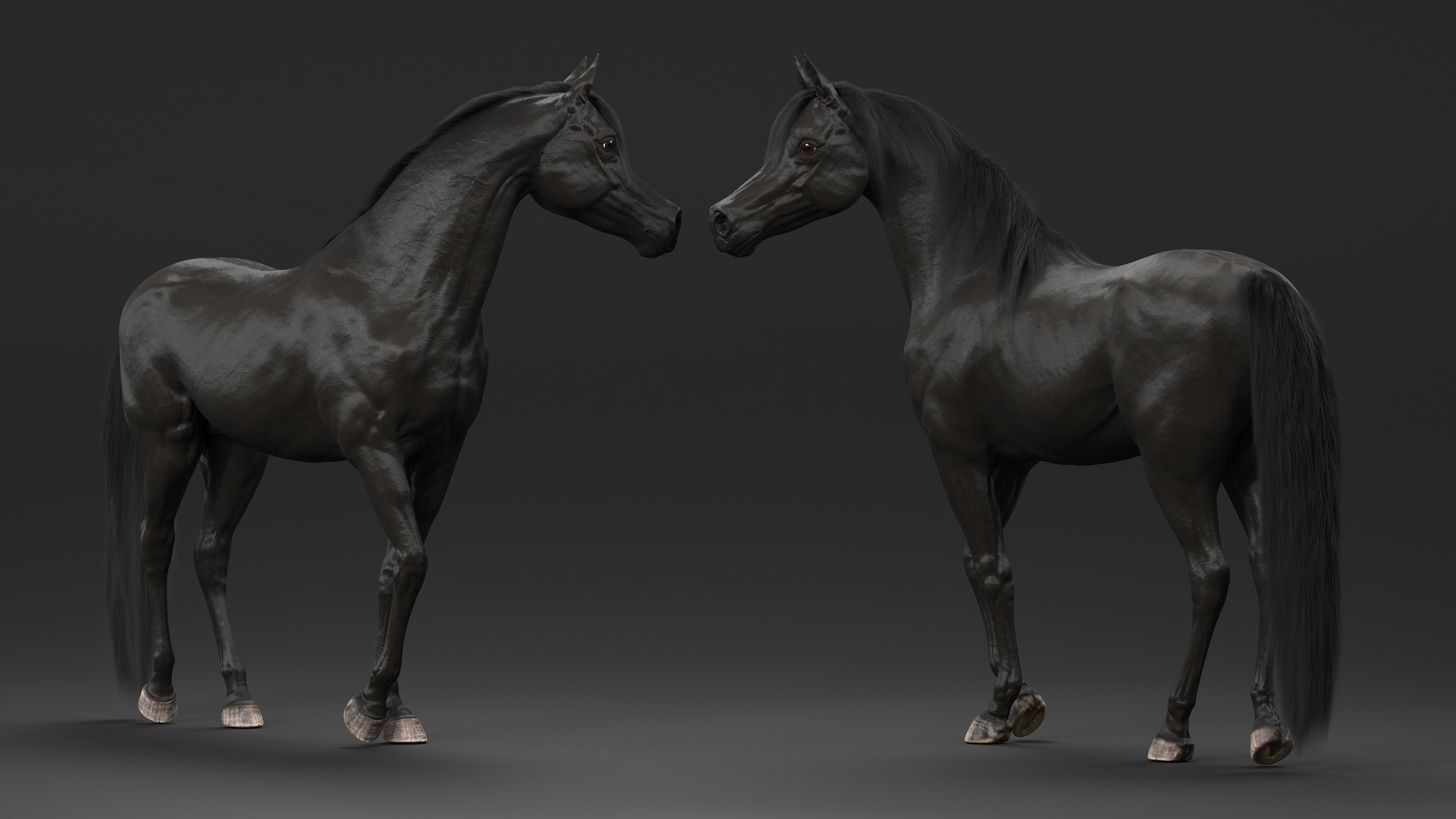 Arabian Horse Black Stand Pose Fur 3D model