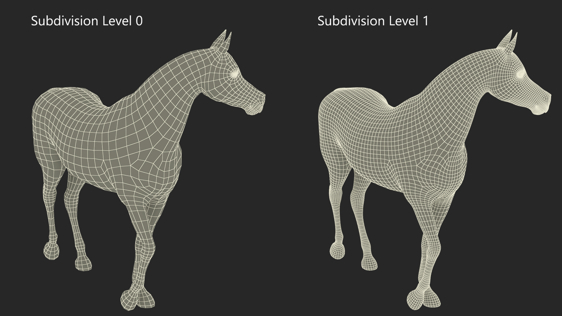 Arabian Horse Black Stand Pose Fur 3D model