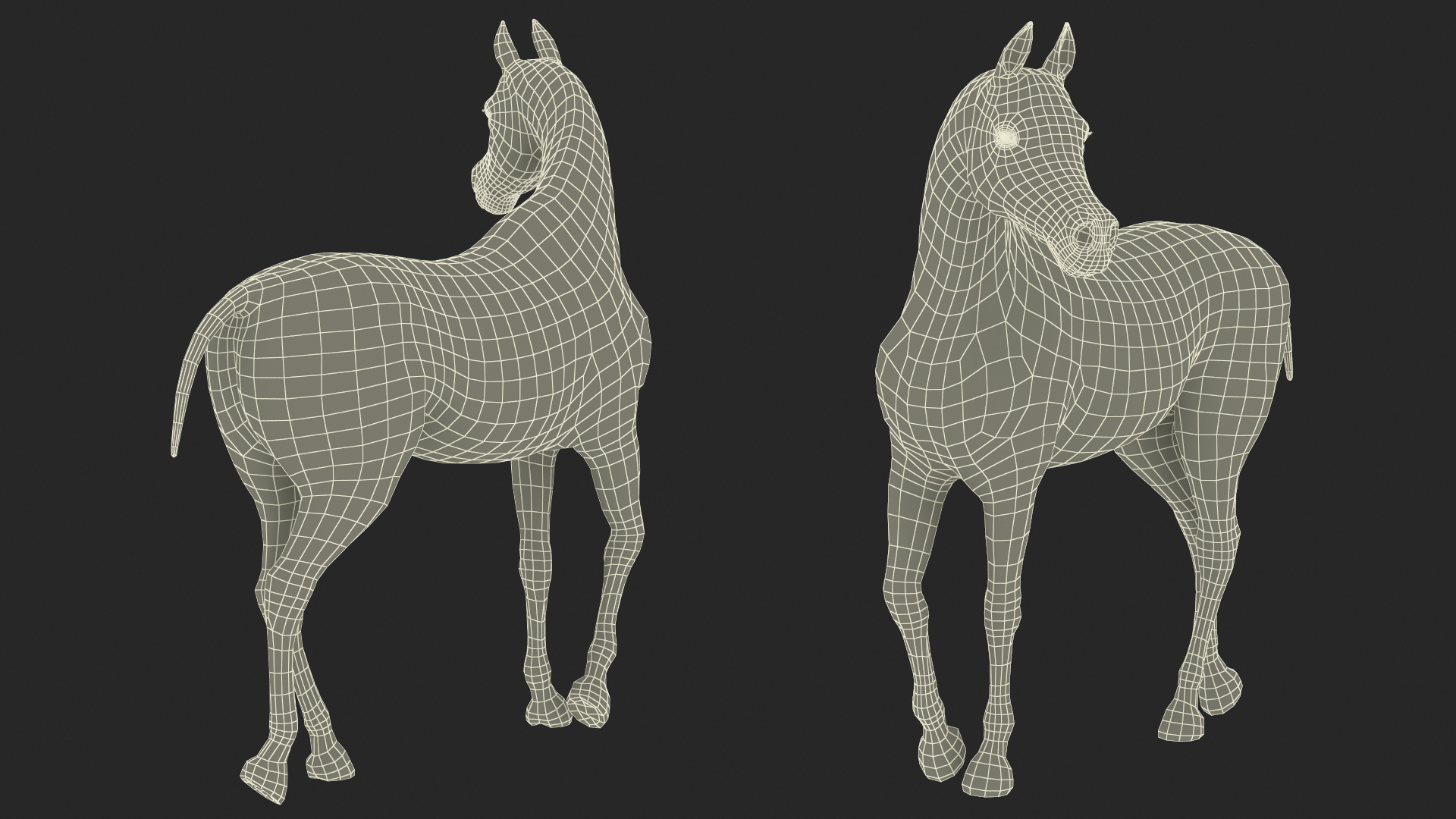 Arabian Horse Black Stand Pose Fur 3D model