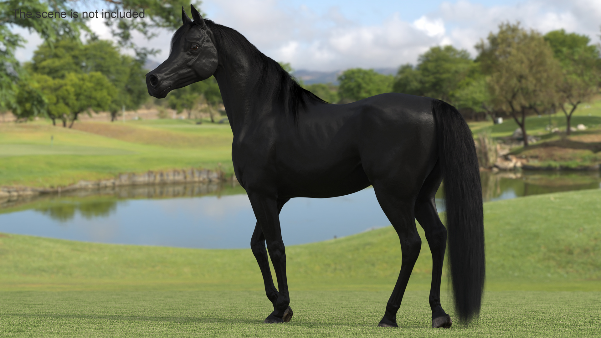 Arabian Horse Black Stand Pose Fur 3D model