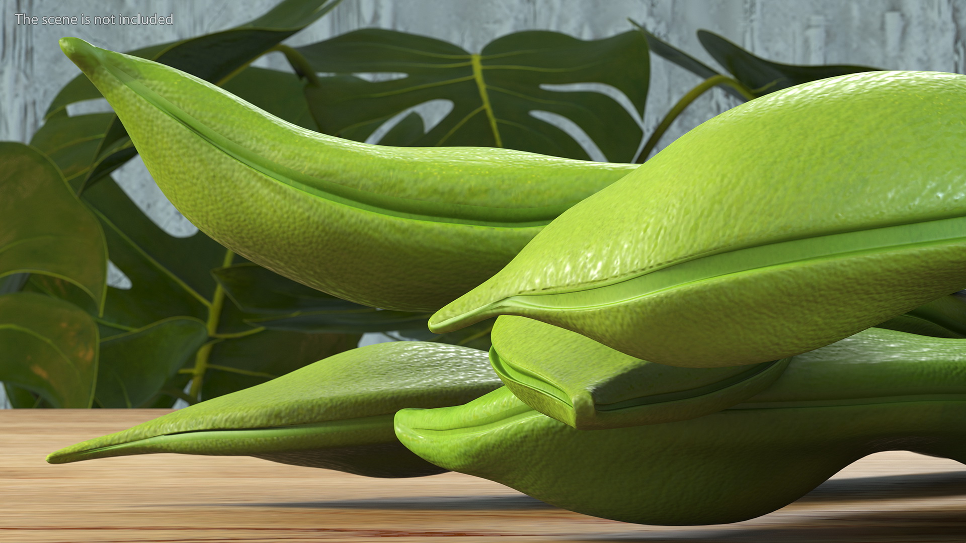 3D model Flat Beans