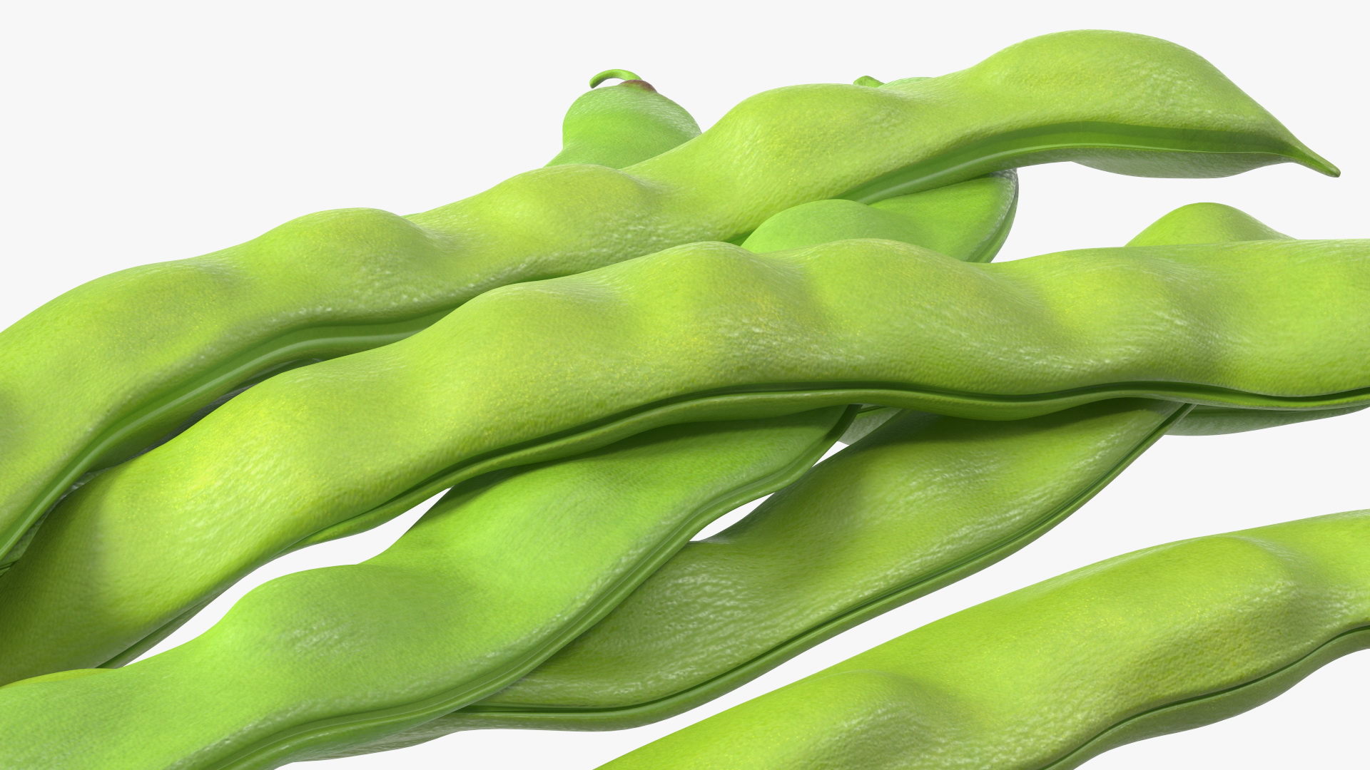 3D model Flat Beans