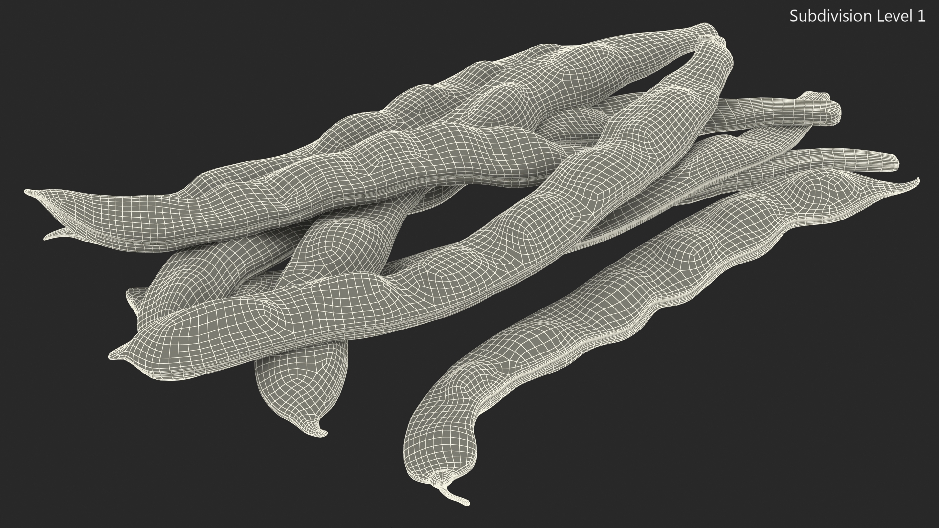 3D model Flat Beans