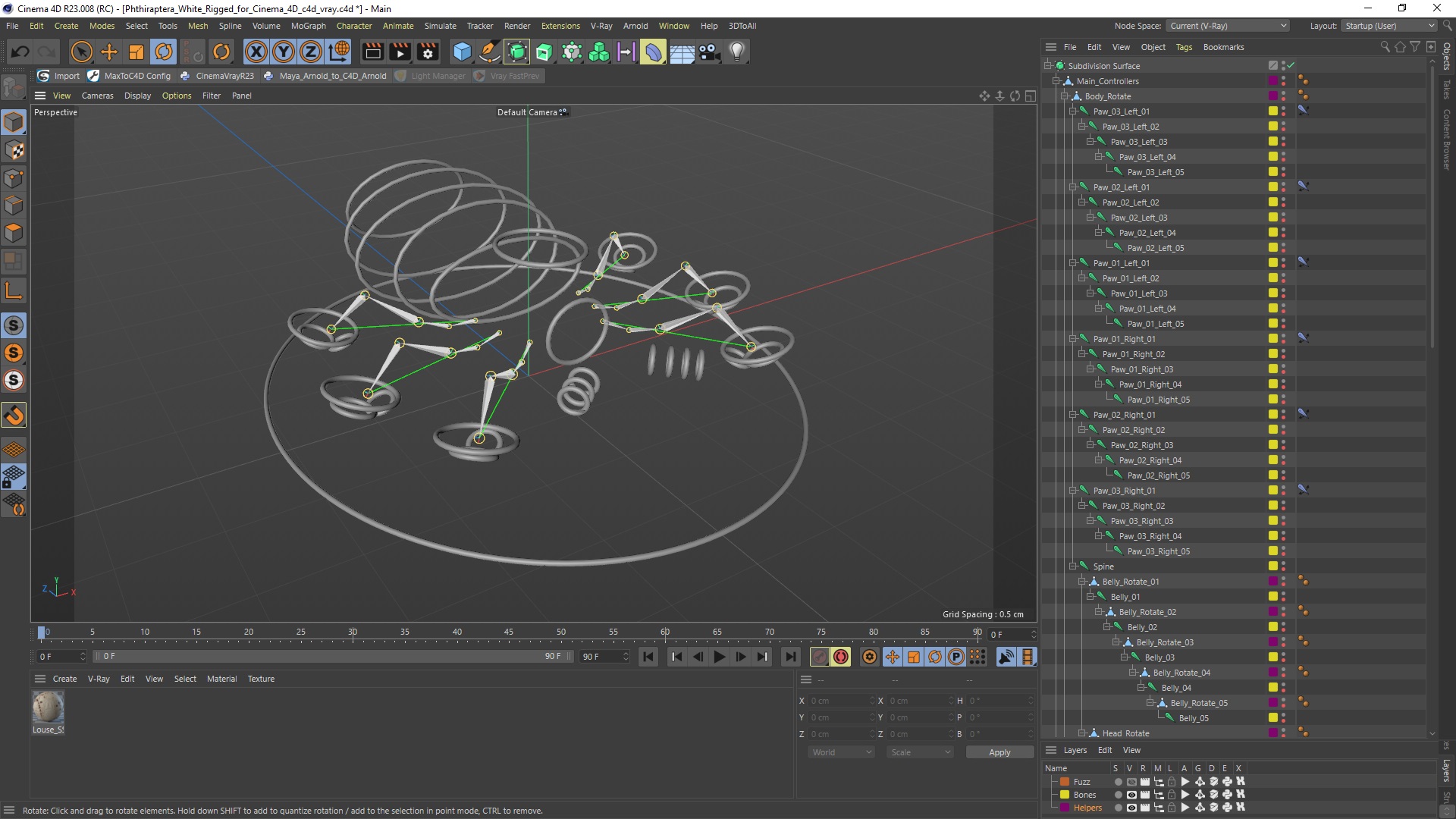 3D Phthiraptera White SSS Rigged for Cinema 4D model