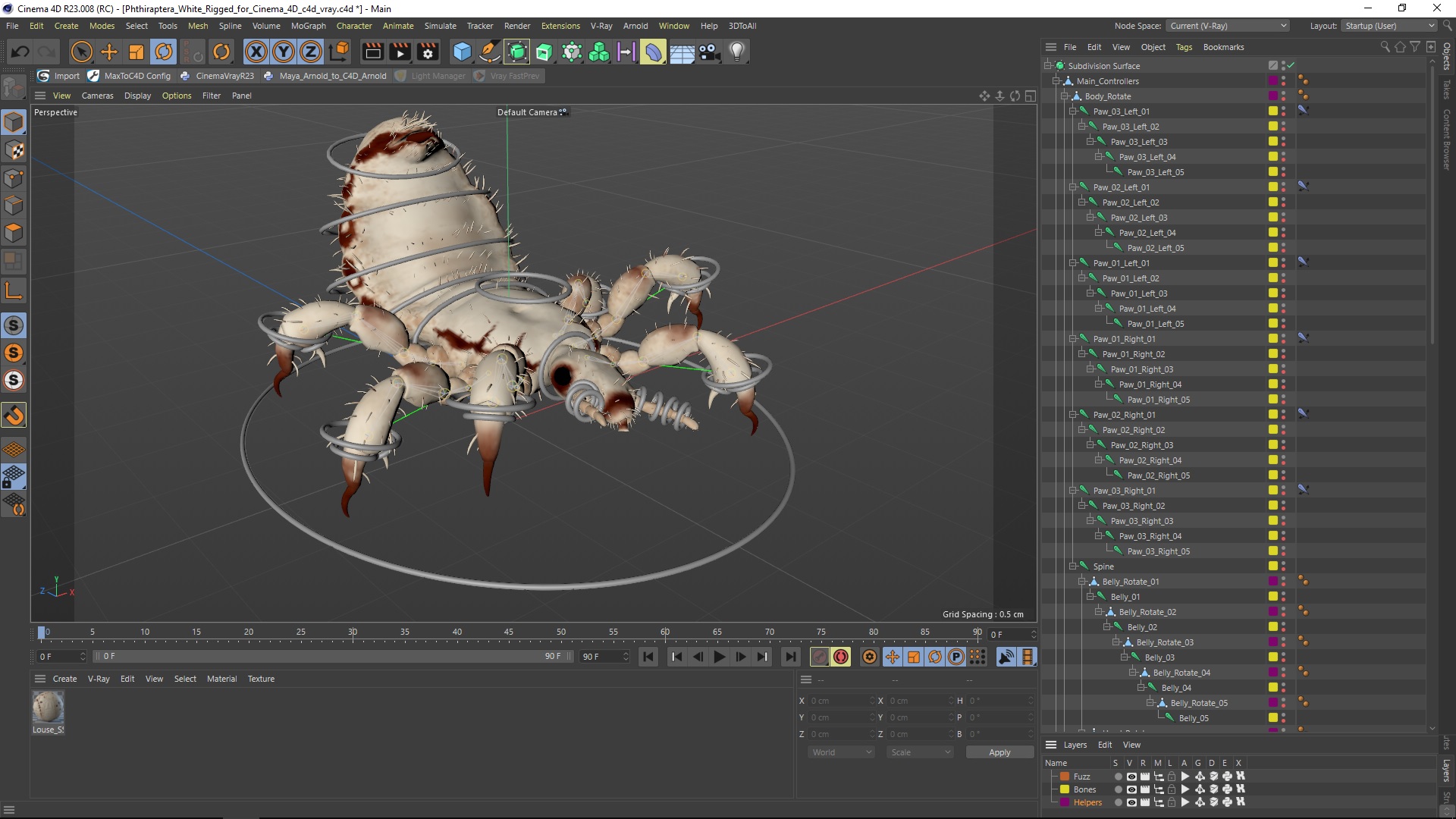 3D Phthiraptera White SSS Rigged for Cinema 4D model