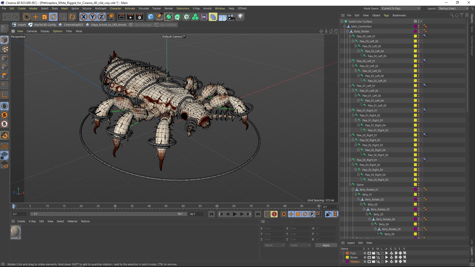 3D Phthiraptera White SSS Rigged for Cinema 4D model