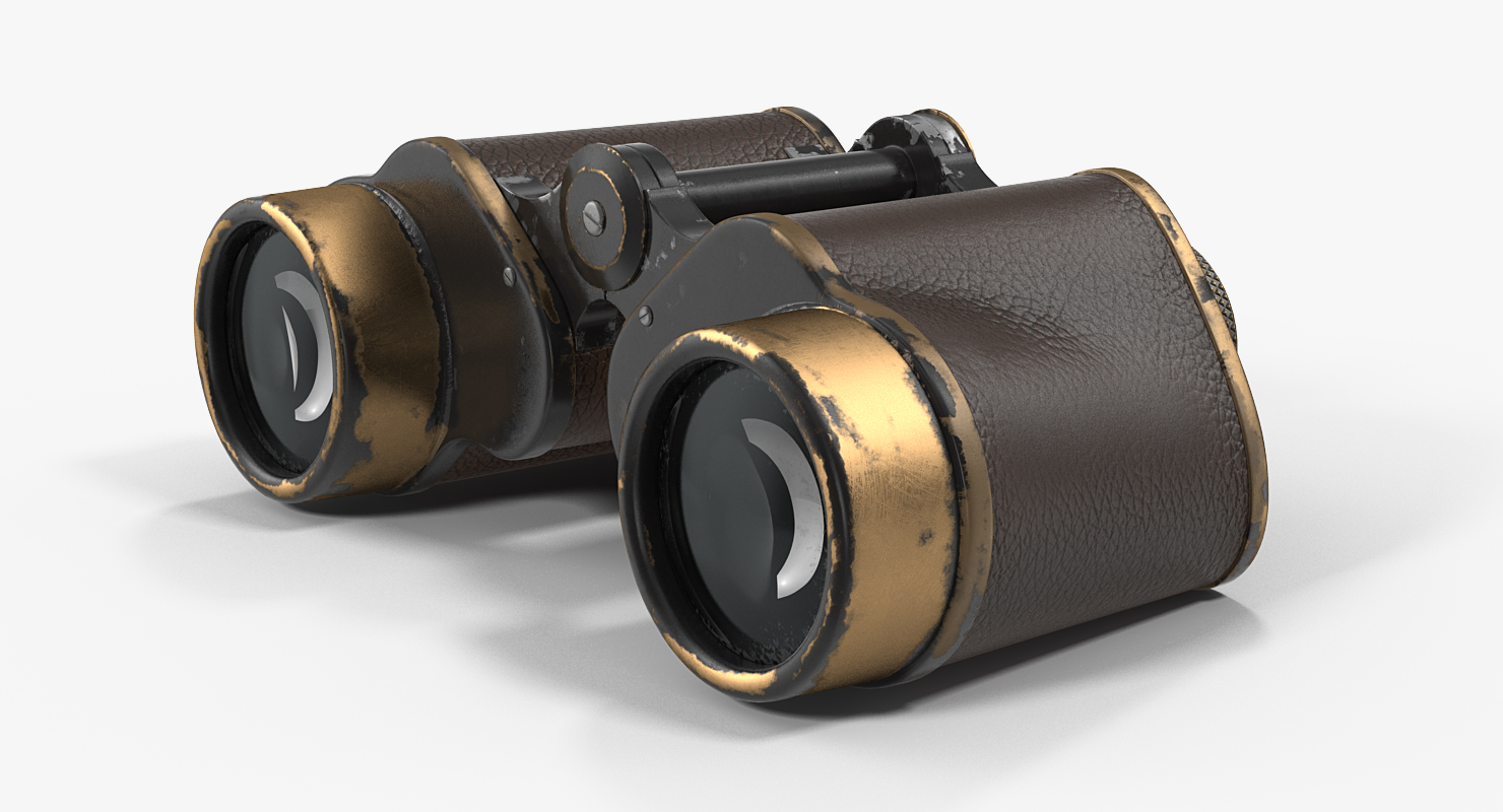 3D Vintage Brass Military Binoculars model