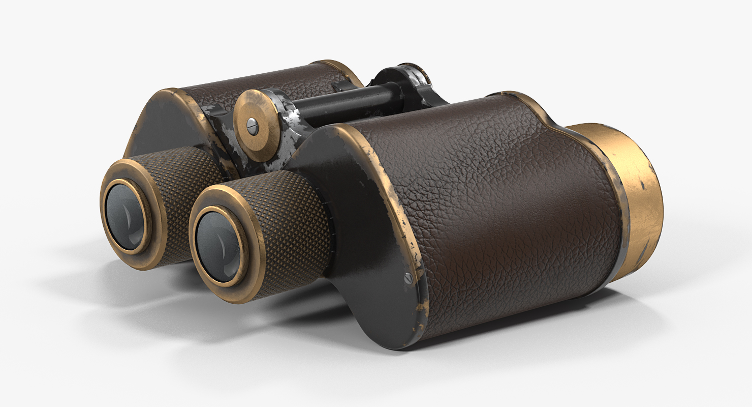 3D Vintage Brass Military Binoculars model