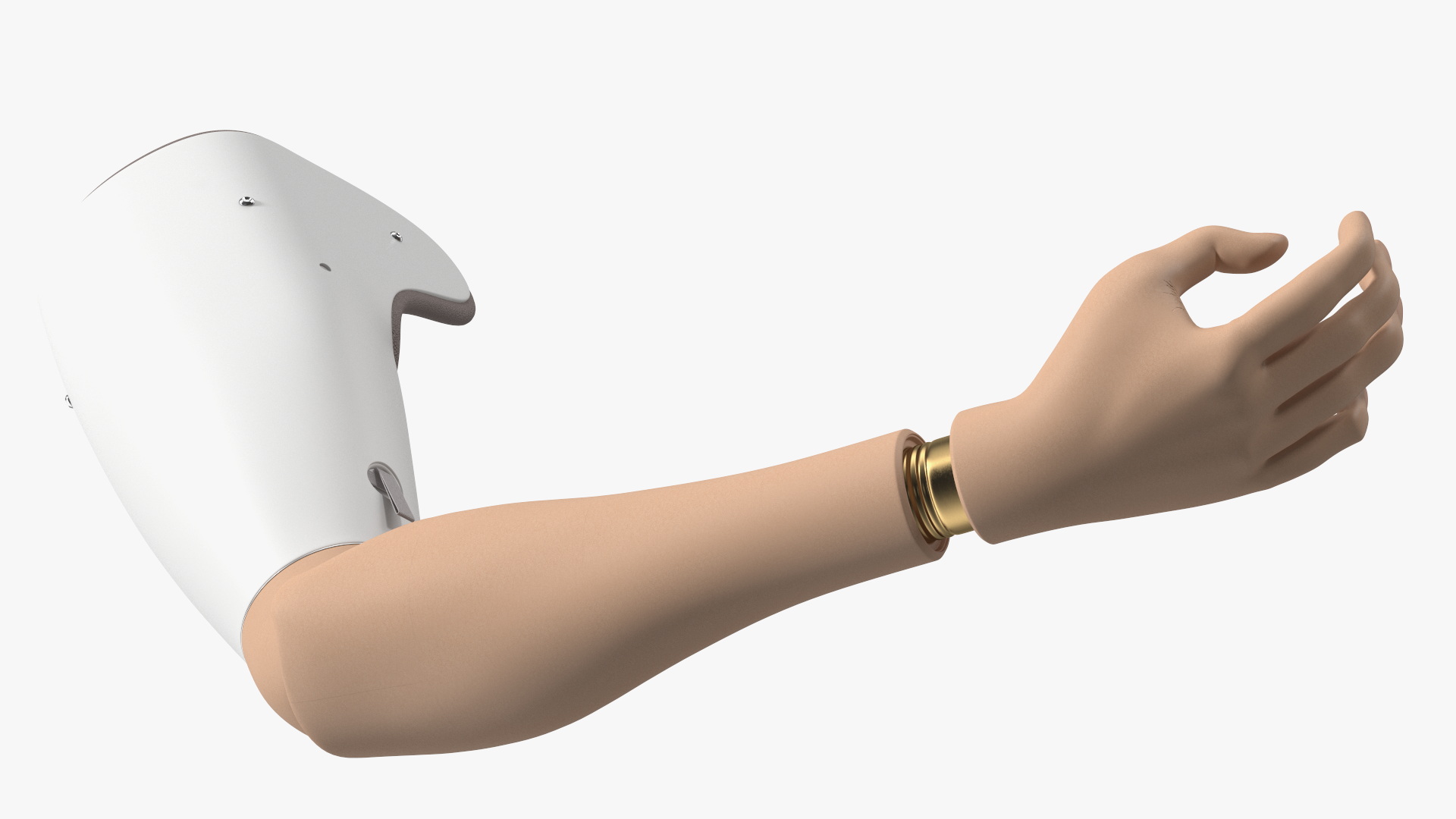 Man with Prosthetic Arm Fur Rigged 3D model