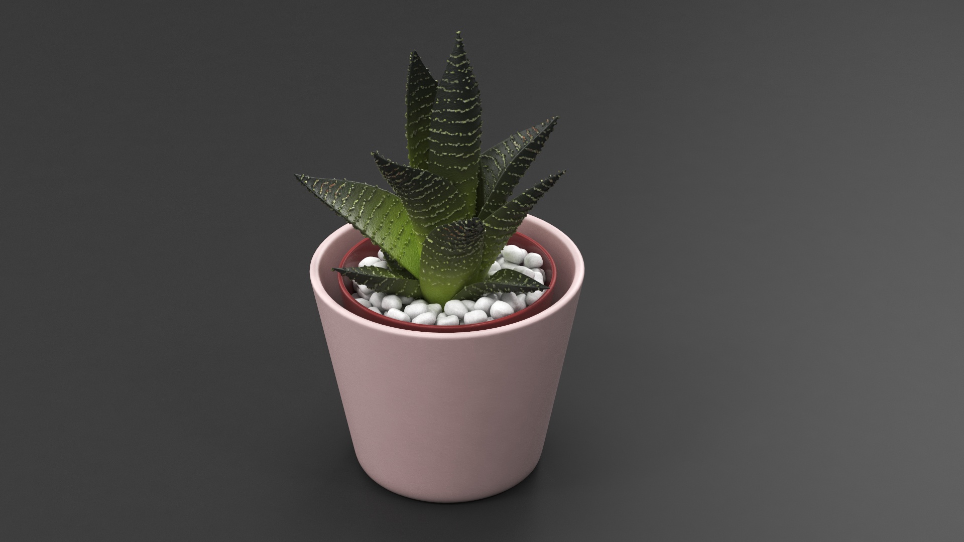 3D model Home Plant in Ceramic Pot