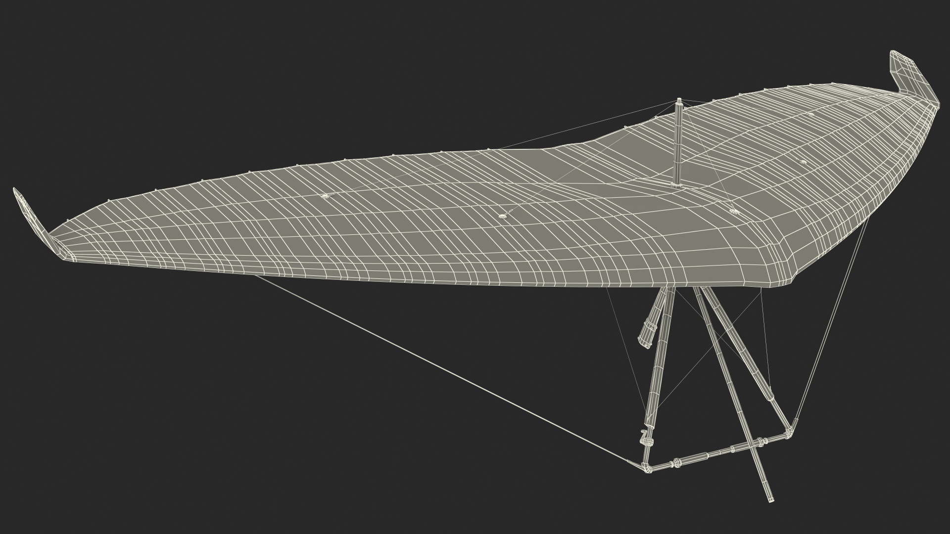 3D Hang Glider