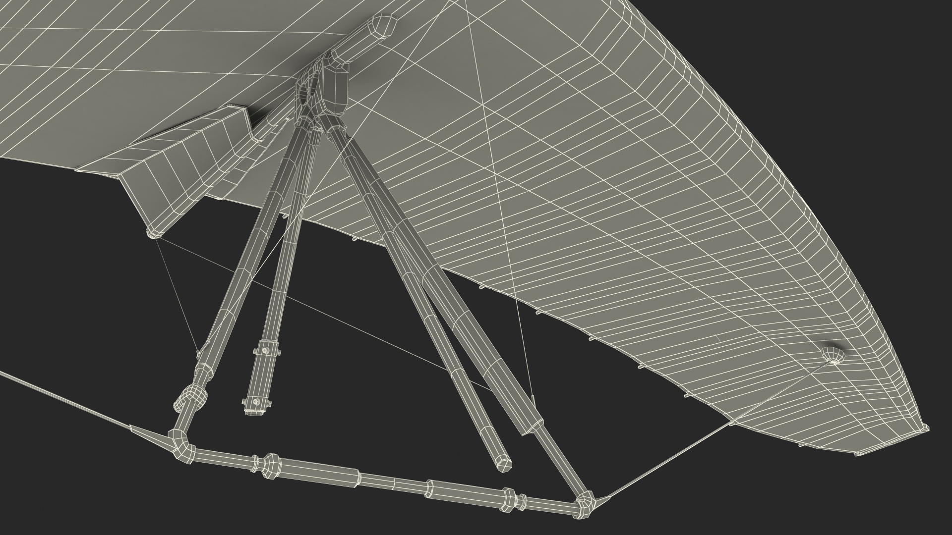 3D Hang Glider