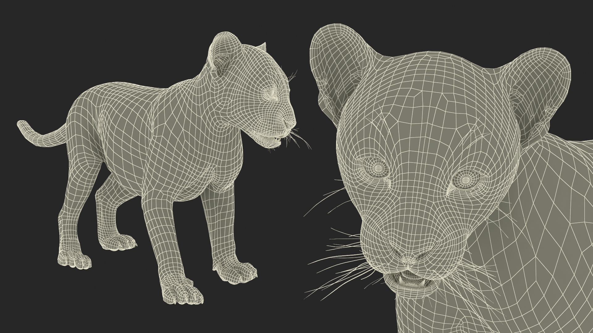 3D model Baby Leopard Cub Fur