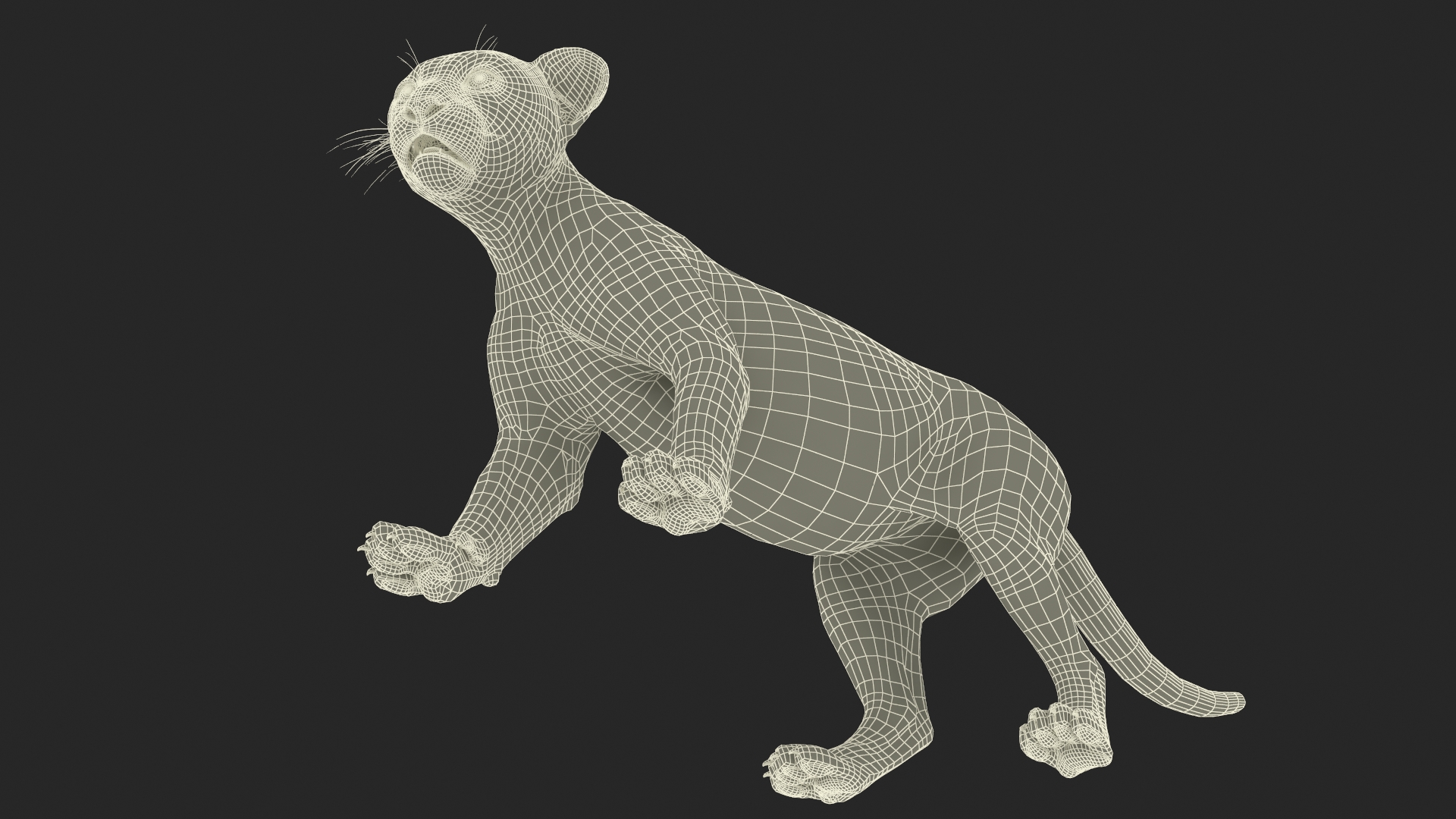 3D model Baby Leopard Cub Fur