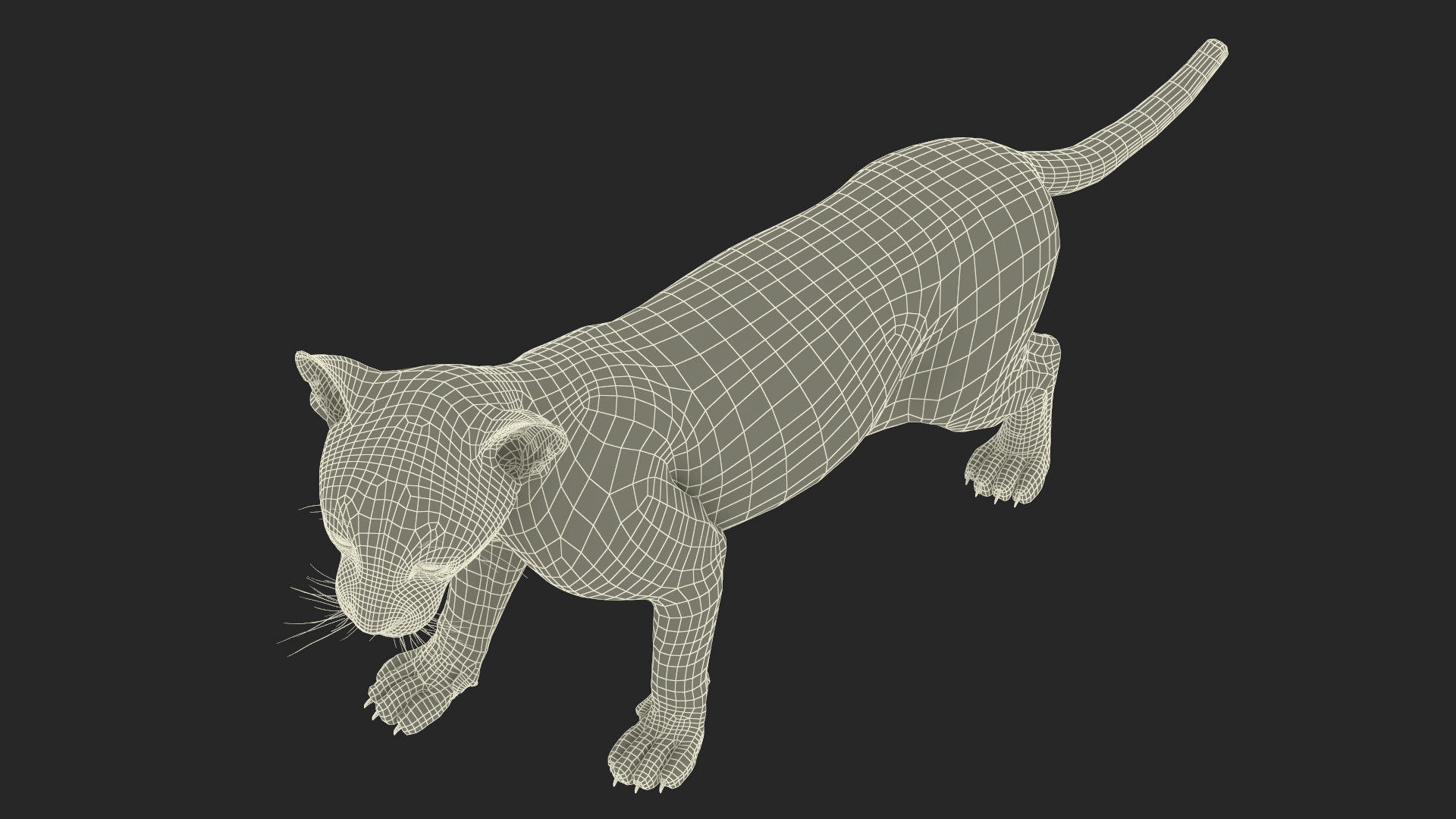 3D model Baby Leopard Cub Fur