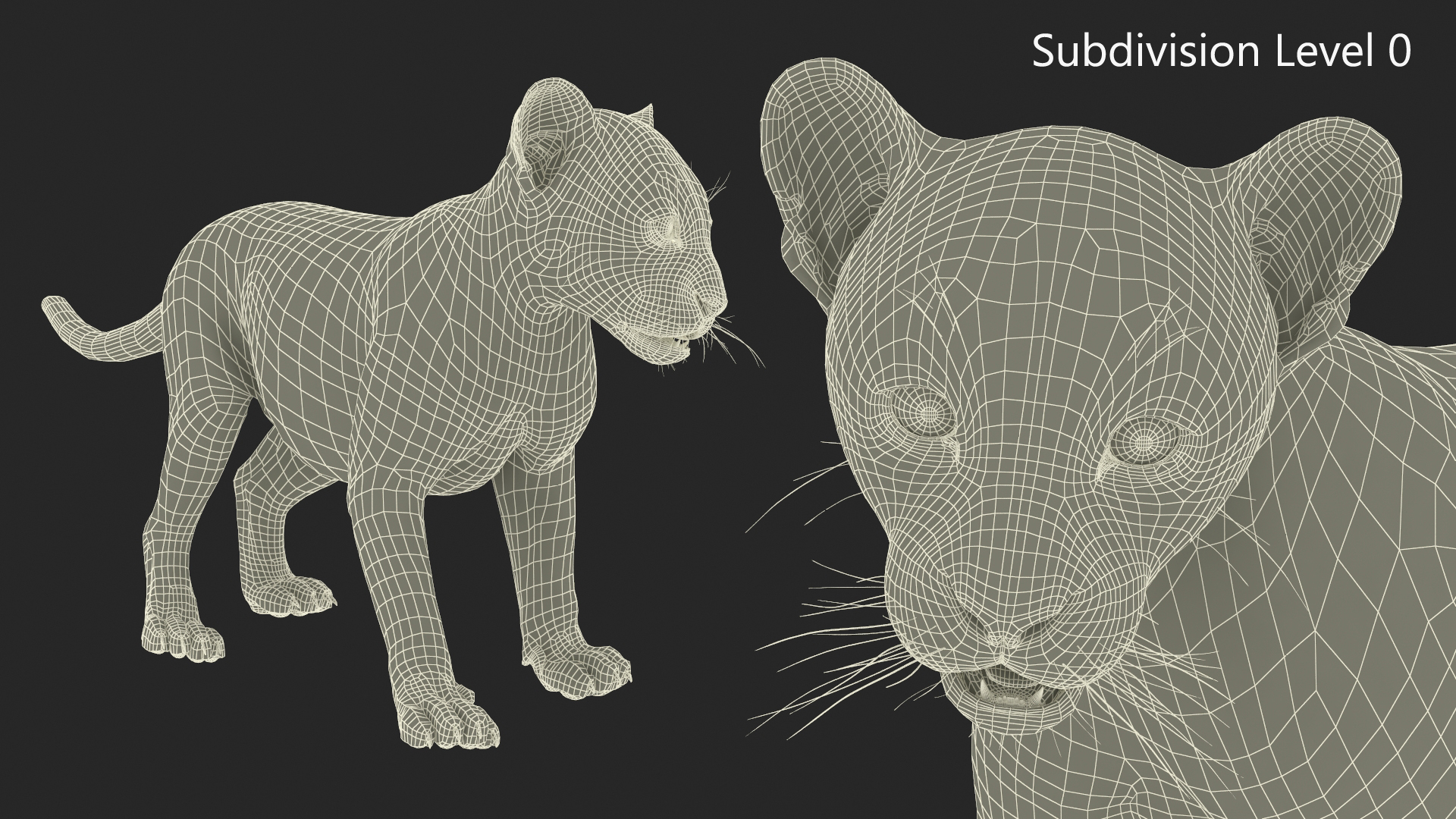 3D model Baby Leopard Cub Fur